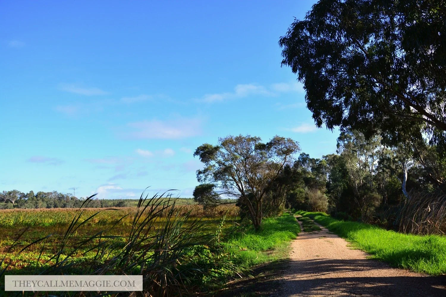 gippsland-macleod-morass-reserve.jpg