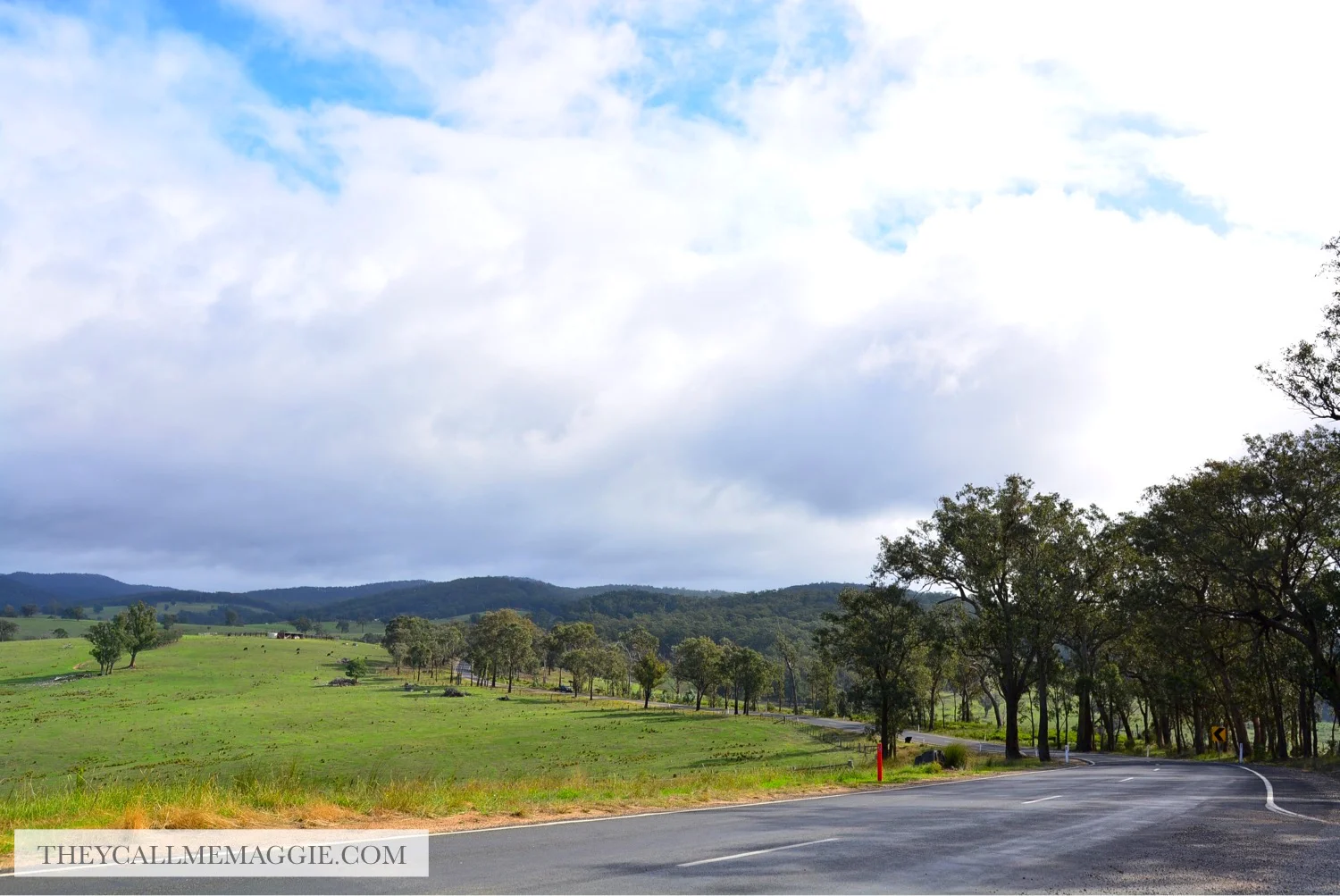 east-gippsland-drive.jpg
