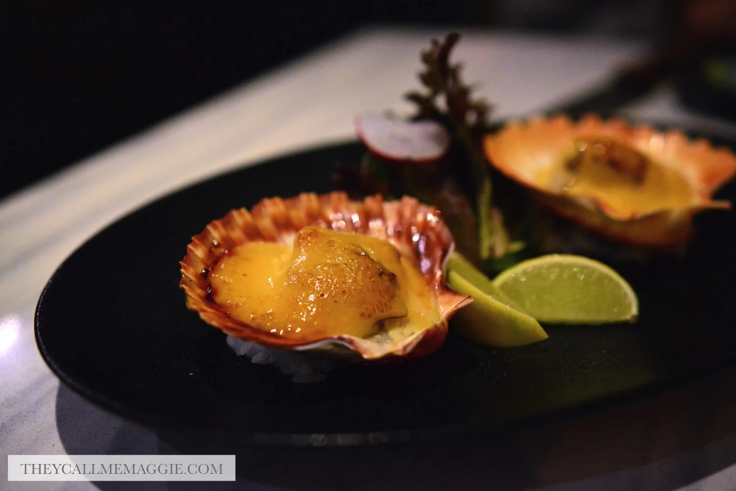 scallop-aburi.jpg