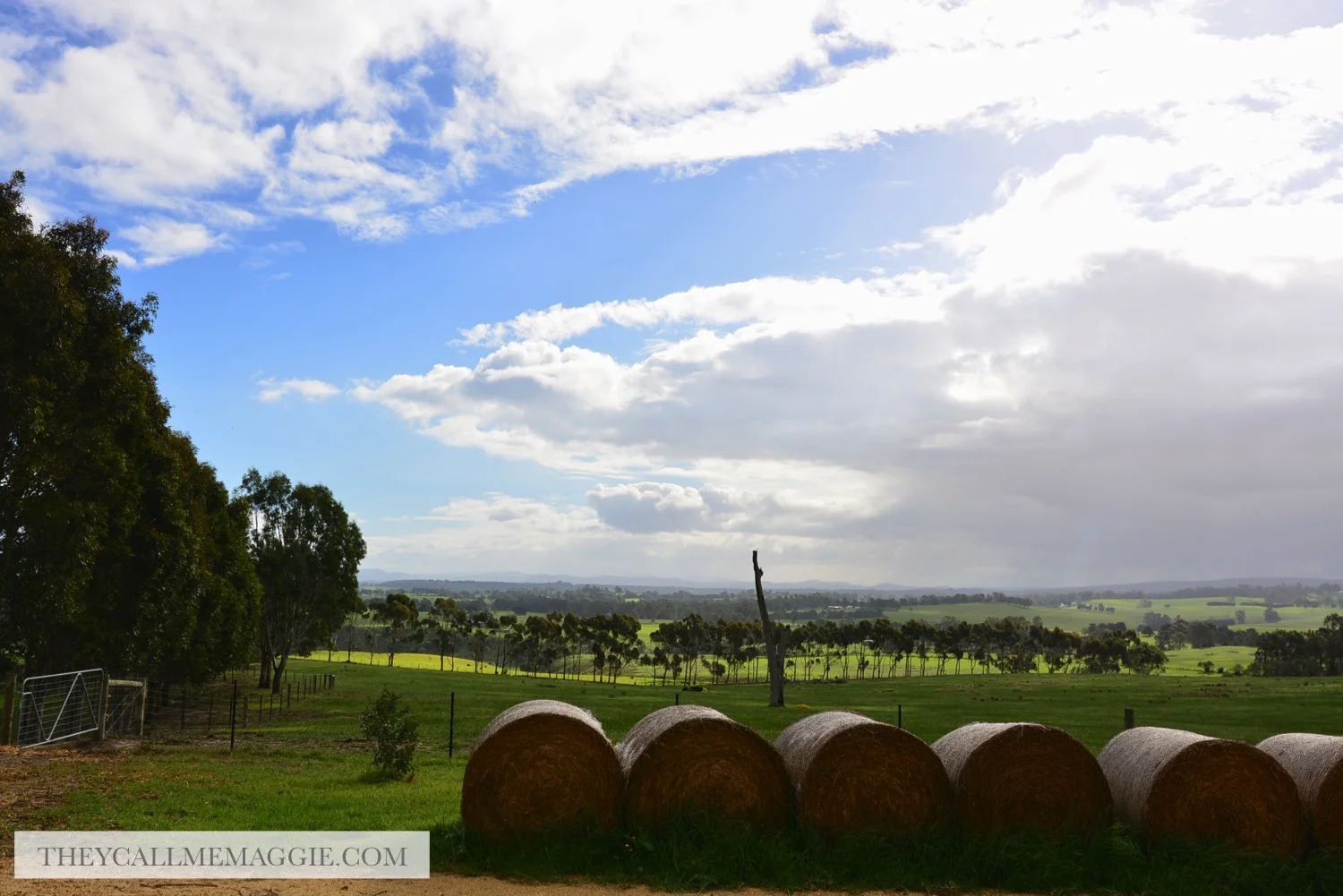 winery-views.jpg