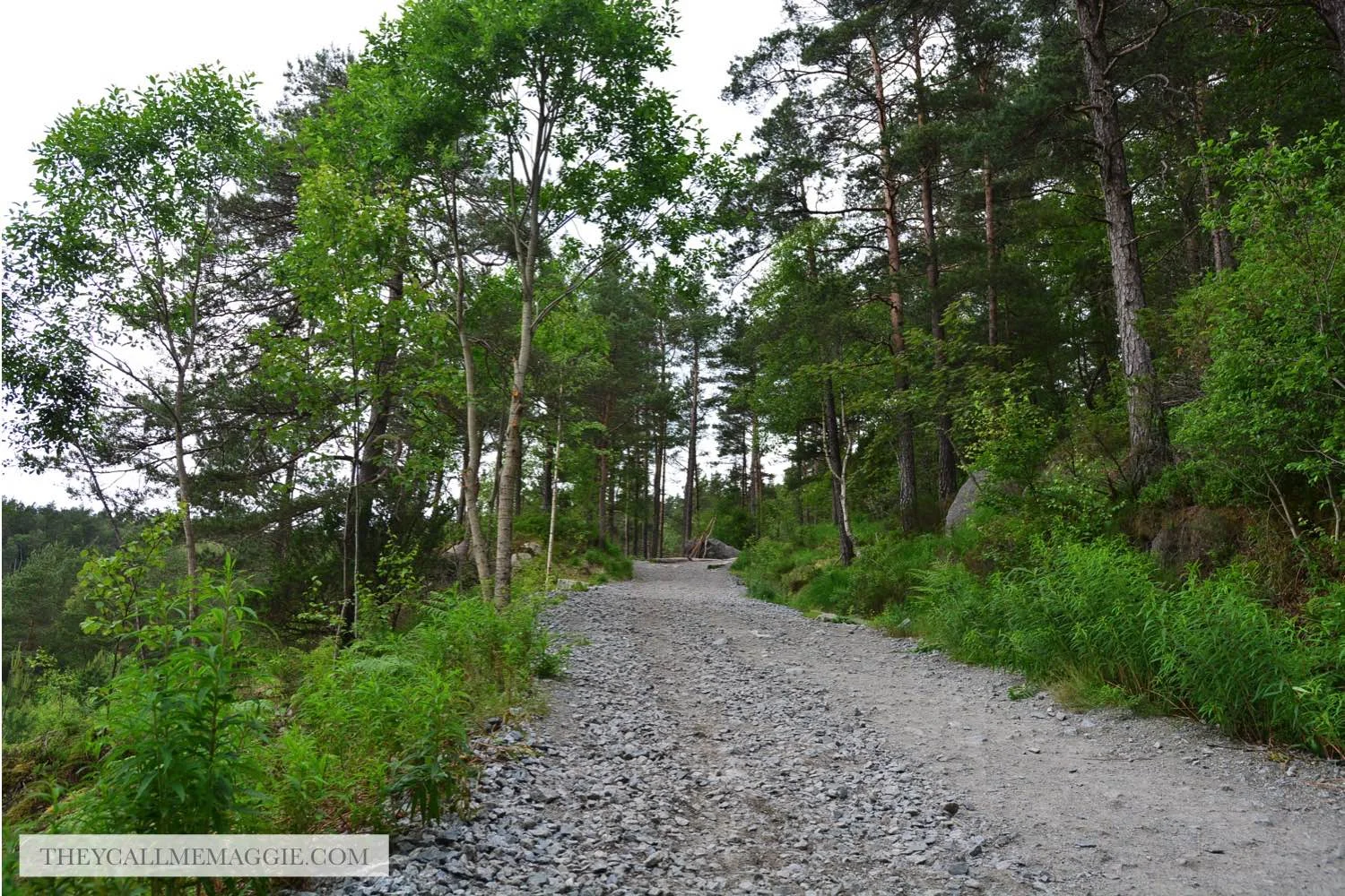 hiking-terrain.jpg