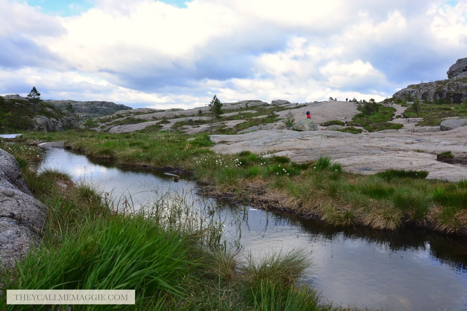 freshwater-stream.jpg