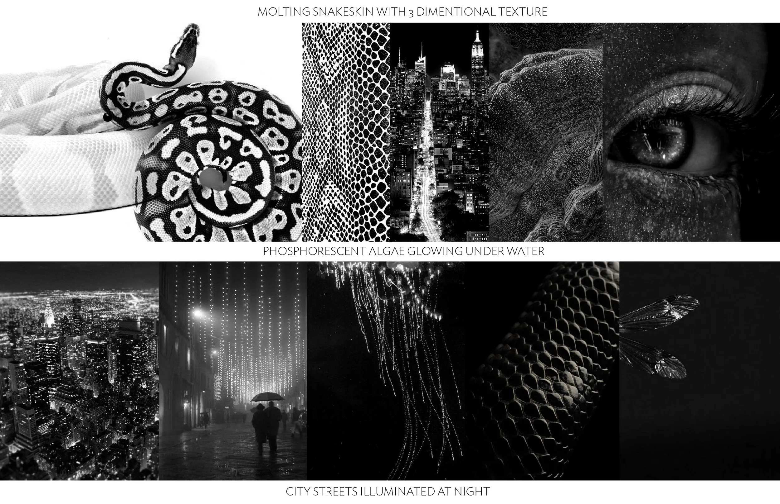 W14 SNAKESKIN_Artboard 4 copy 2.jpg