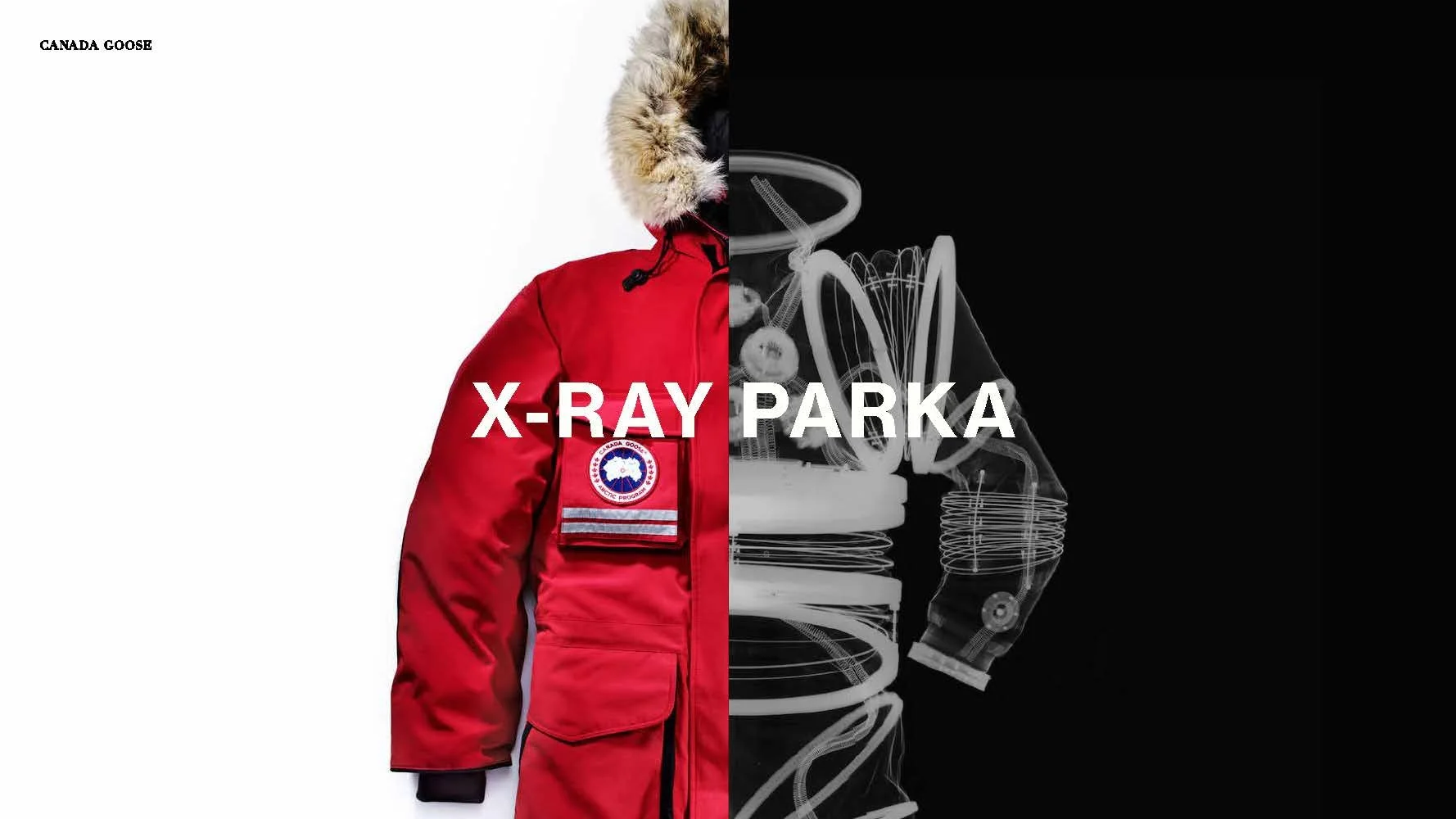 X-RAY CAPSULE_Page_11.jpg