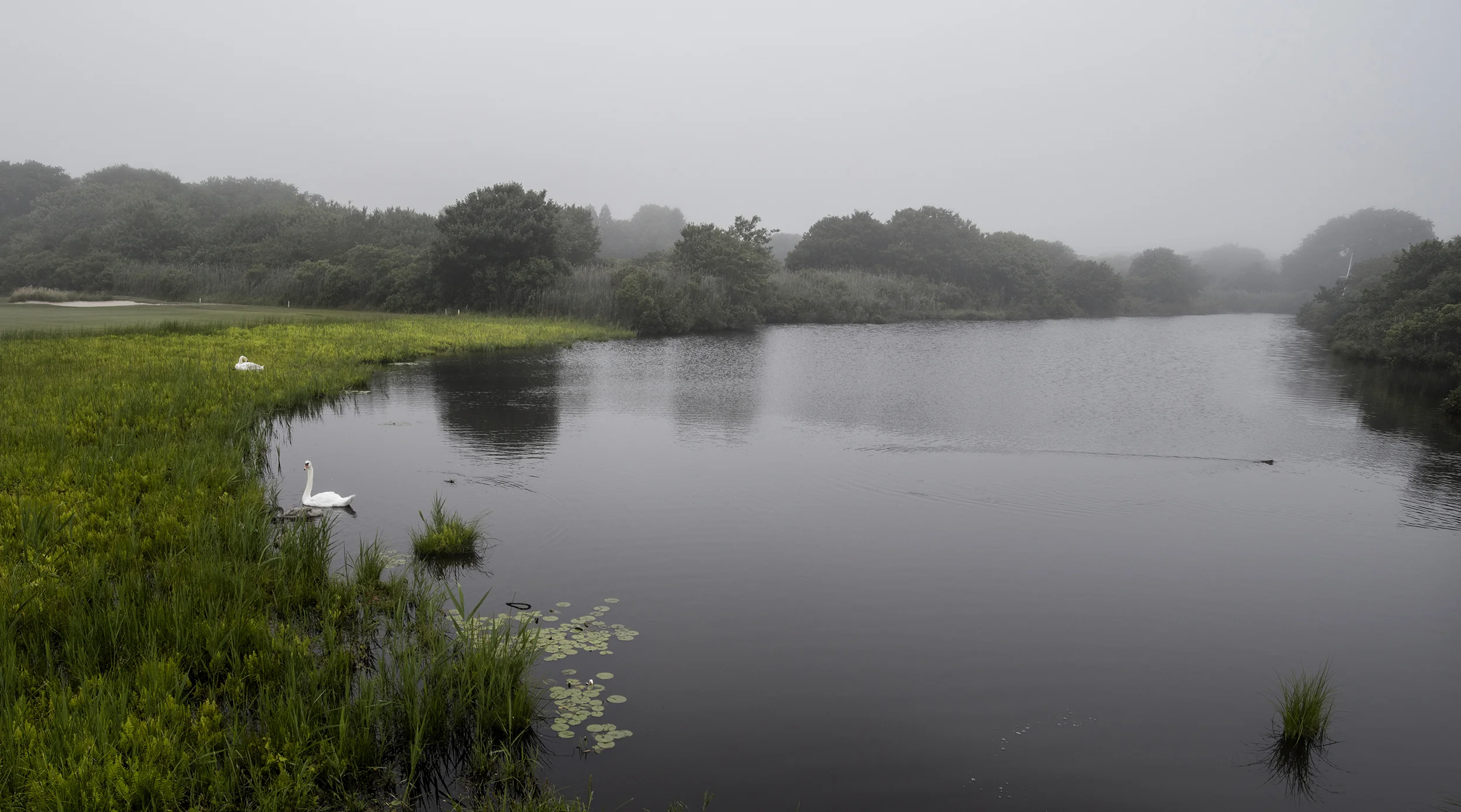 Summer_Hamptons_Golf Course 1 copy.jpg