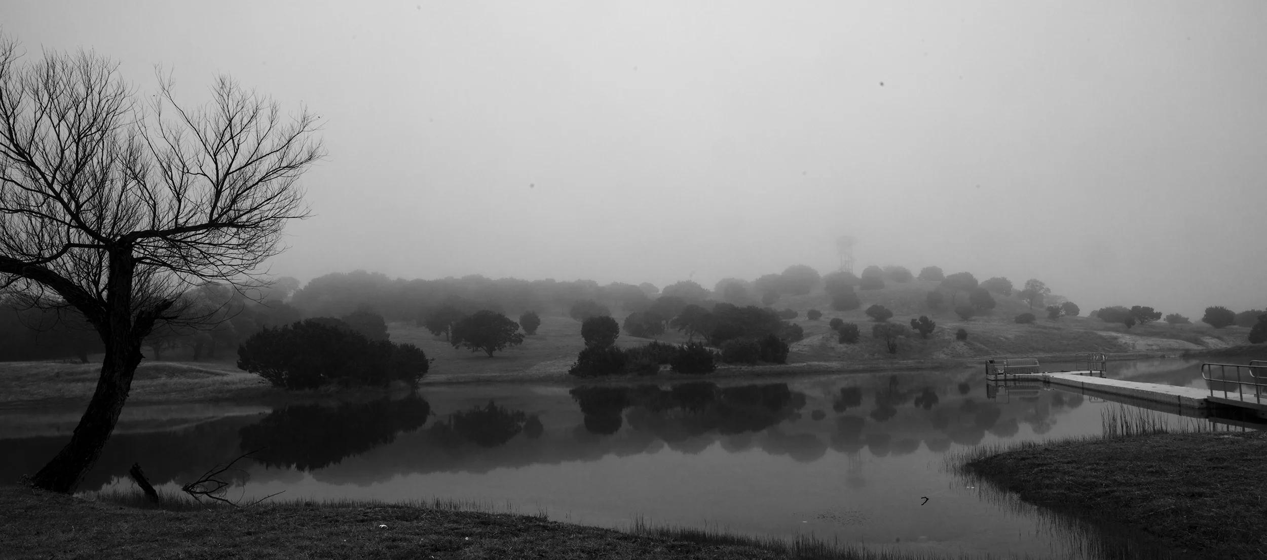 Hall_A_Landscape Nature_7 copy.jpg