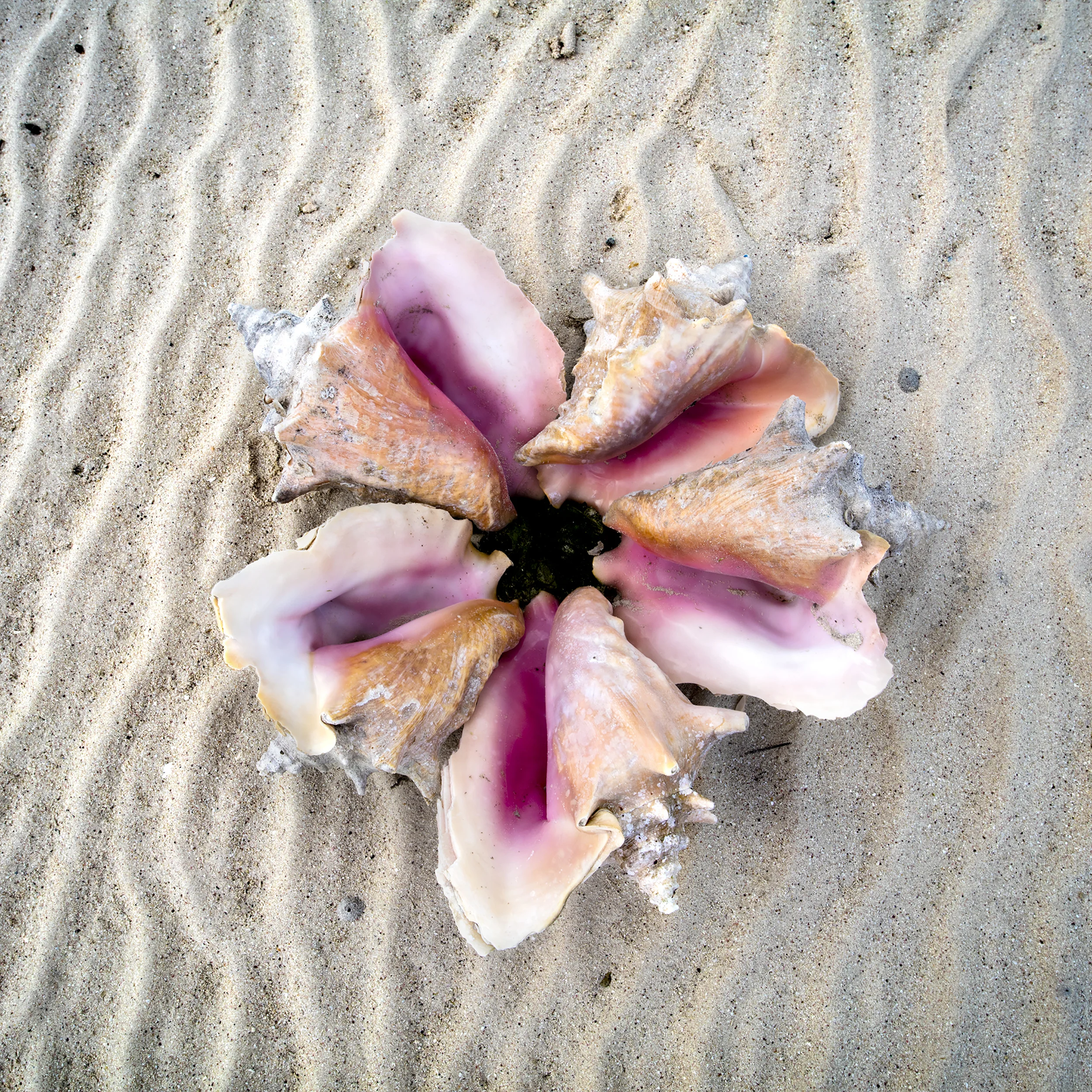 Harbor1 copy.jpg