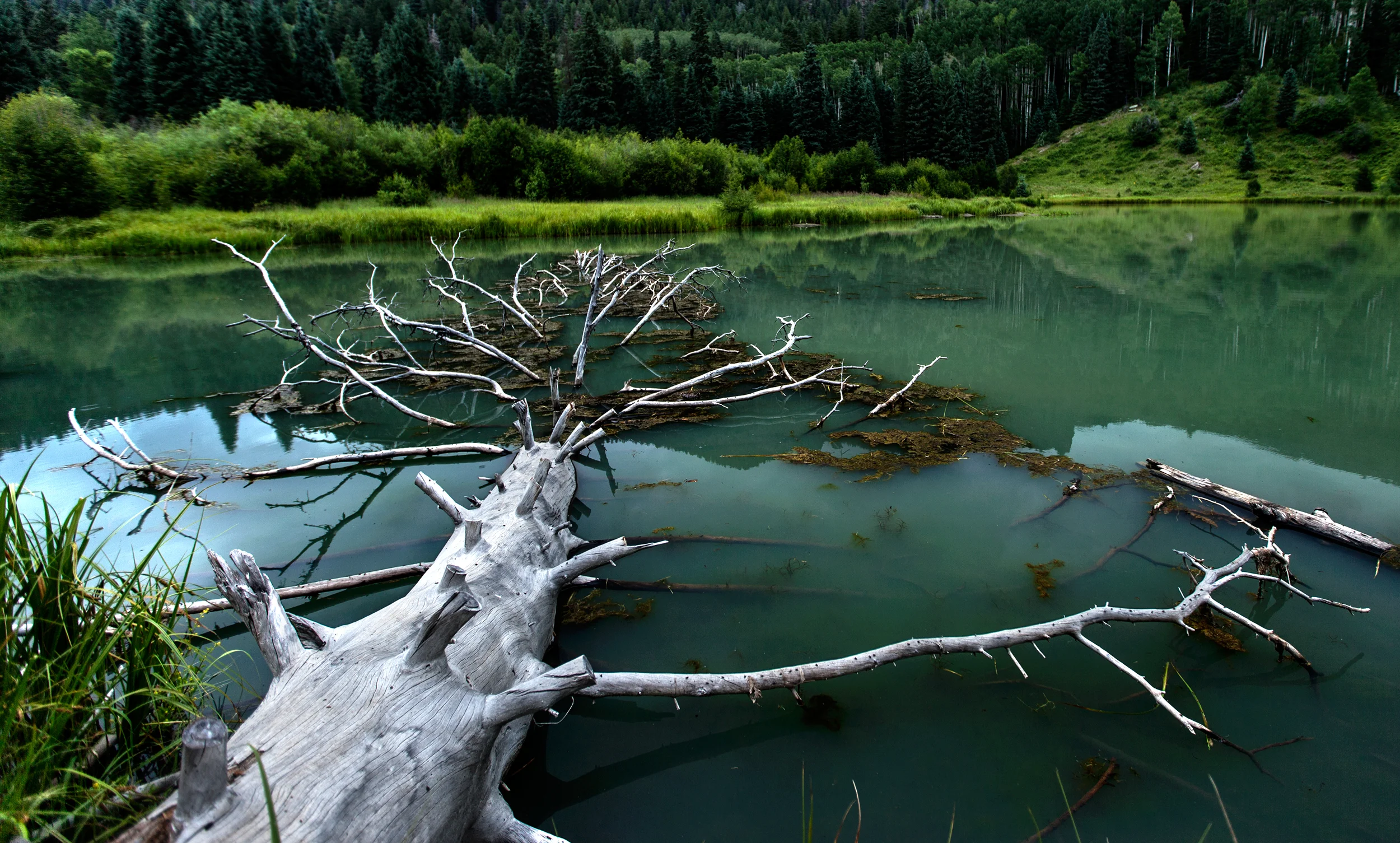 Website-Photo-8 copy.jpg