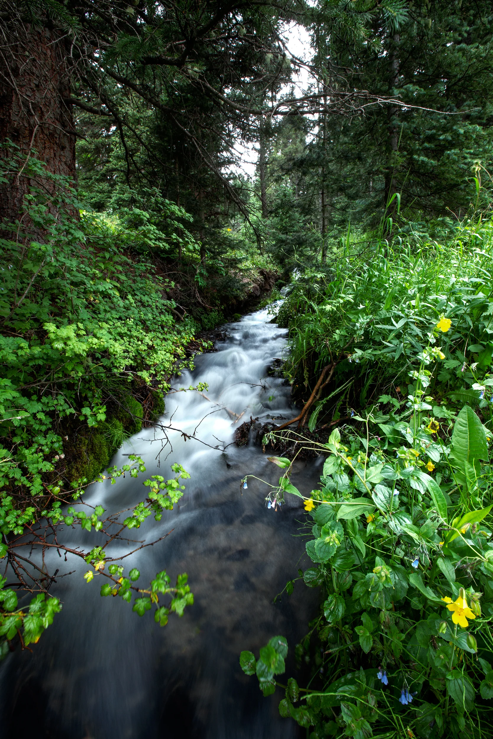 Website-Photo-7 copy.jpg