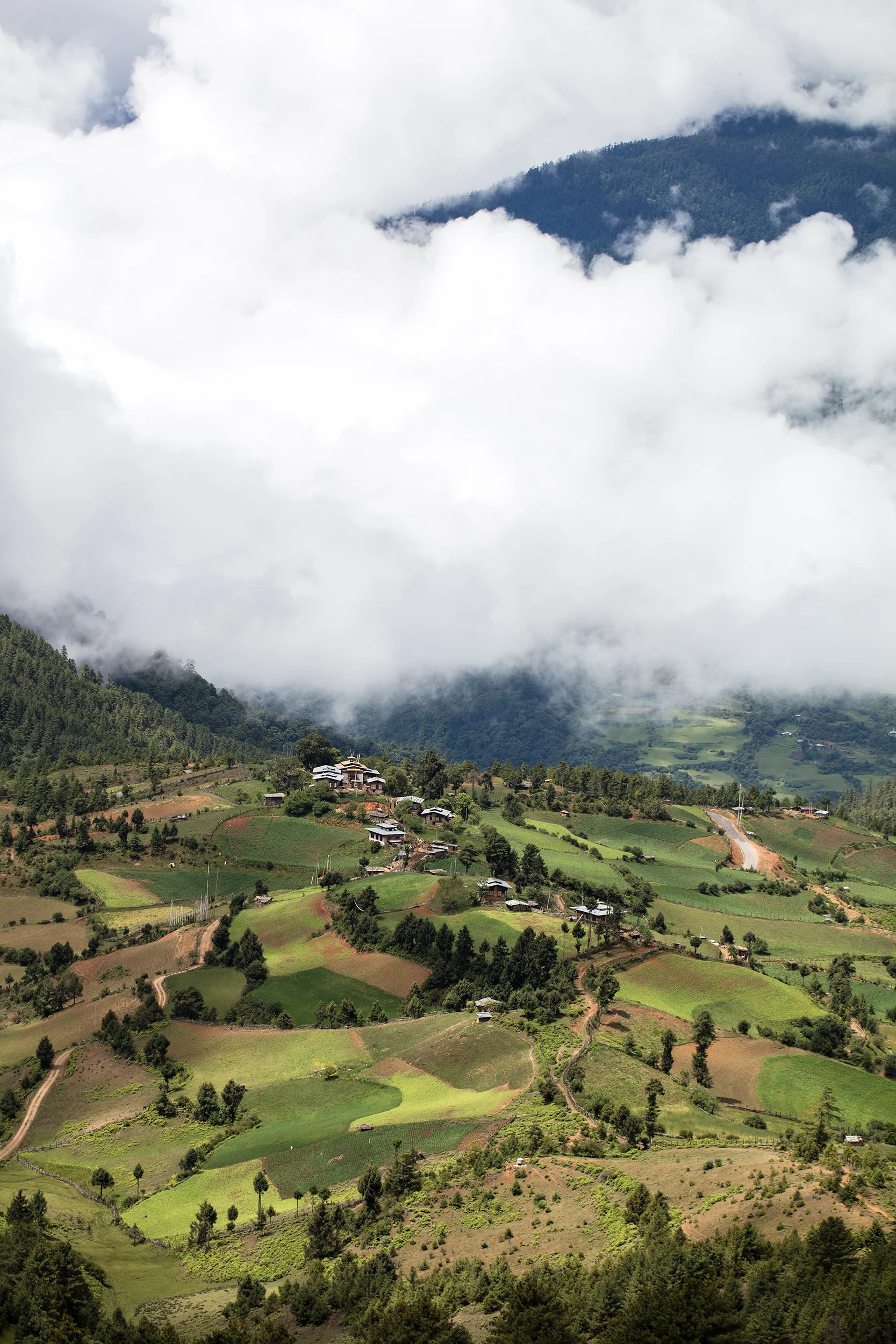 Hall_Adv_Landscape_1.jpg