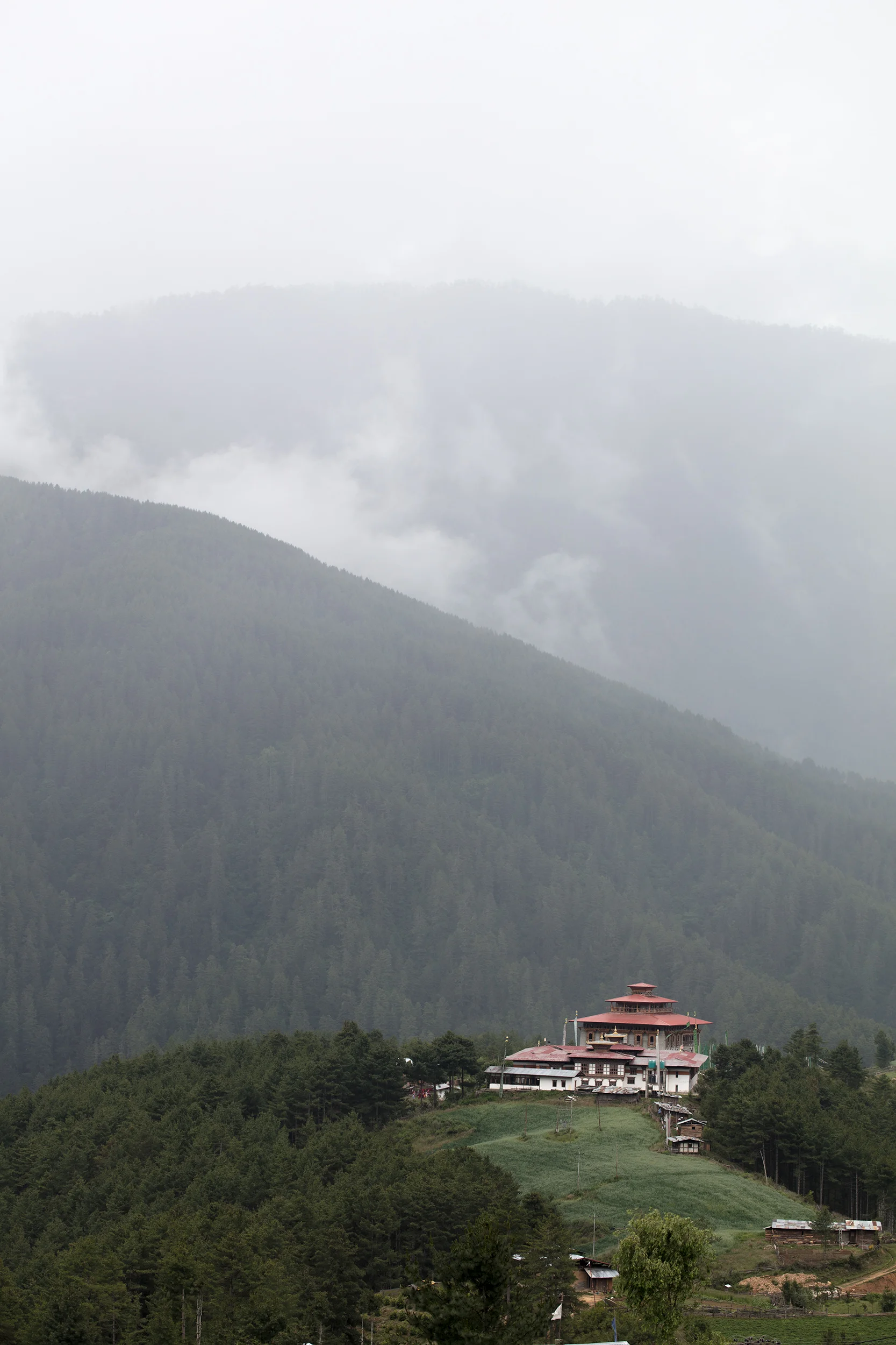 Hall_Adv_Landscape_2.jpg