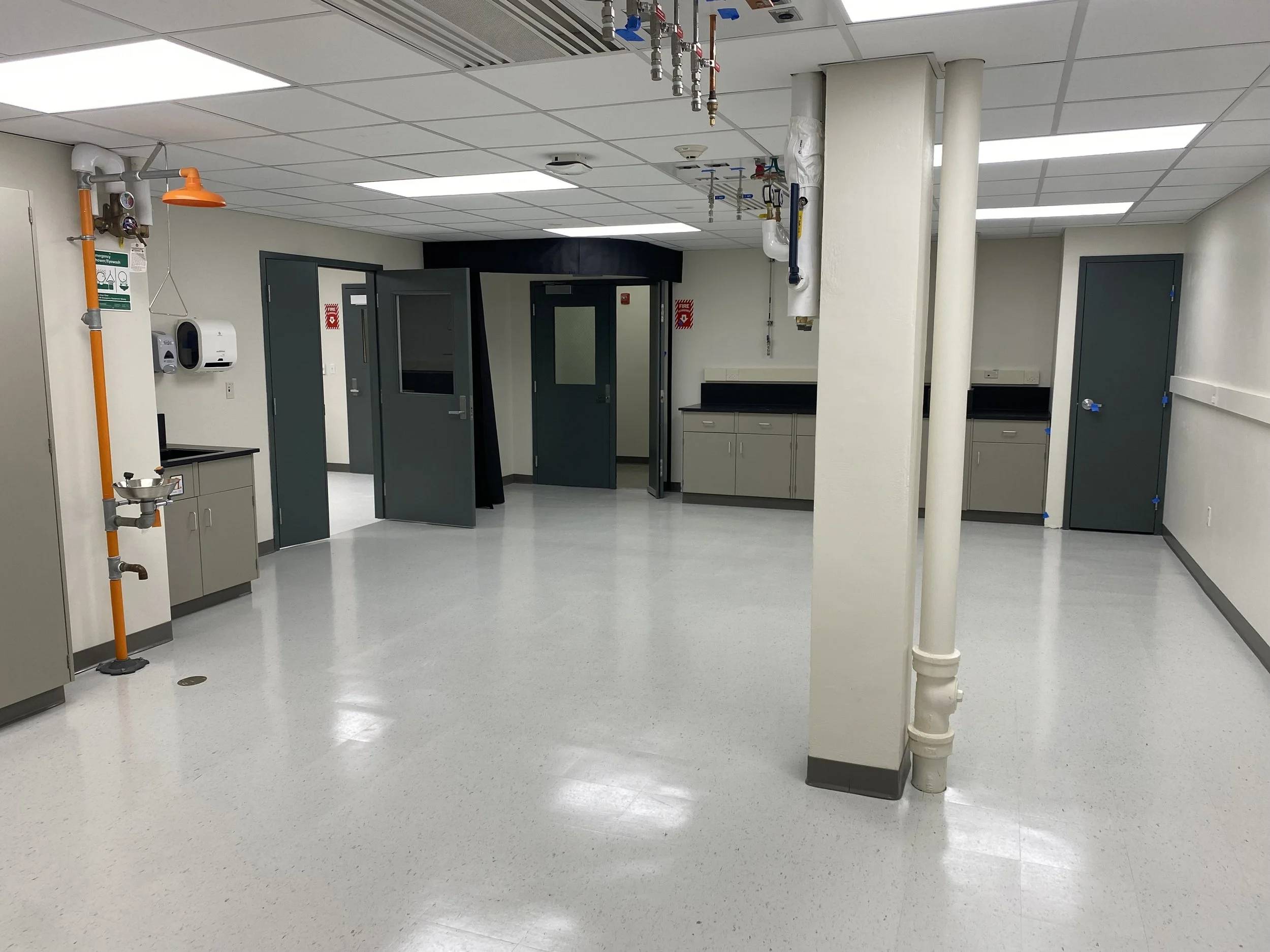 Gallery — CarettaLab