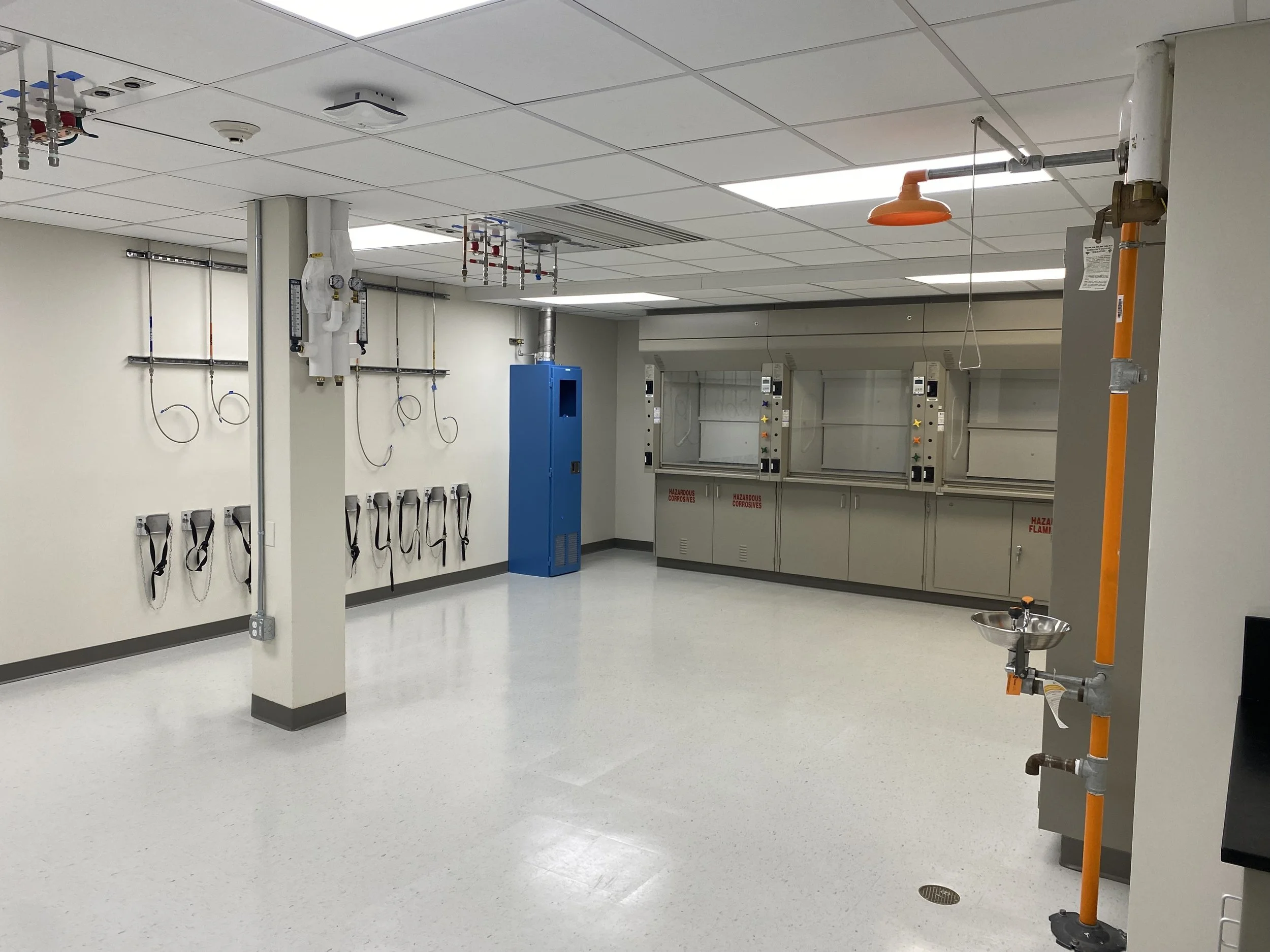 Gallery — CarettaLab
