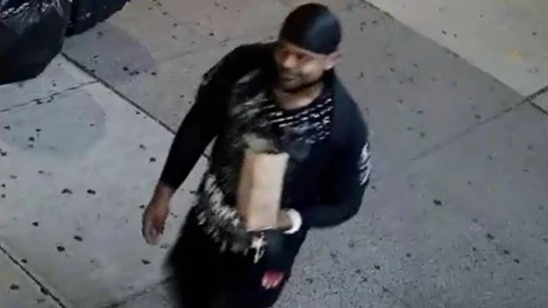 CAIR-NY Condemns Anti-Muslim Attacks in Queens, Welcomes NYPD Hate Crime Probe