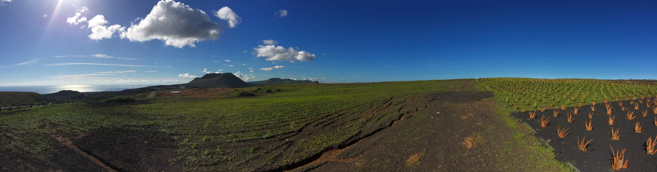 I Left My Heart in Lanzarote