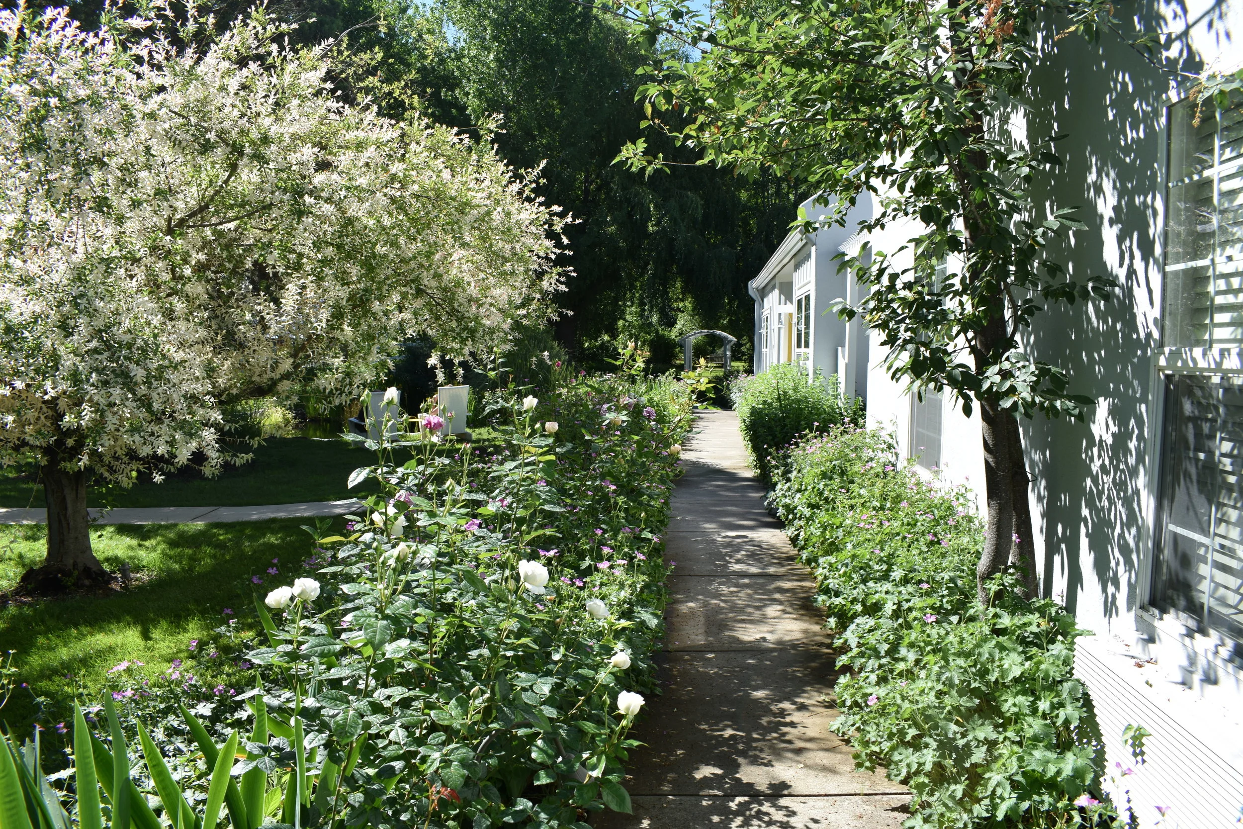 Ashland, Oregon: A Luxury Road Trip