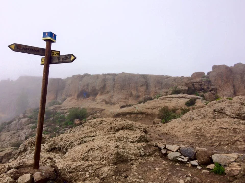 Although I wasn't sure which was Roque Nublo, we made it to the top.