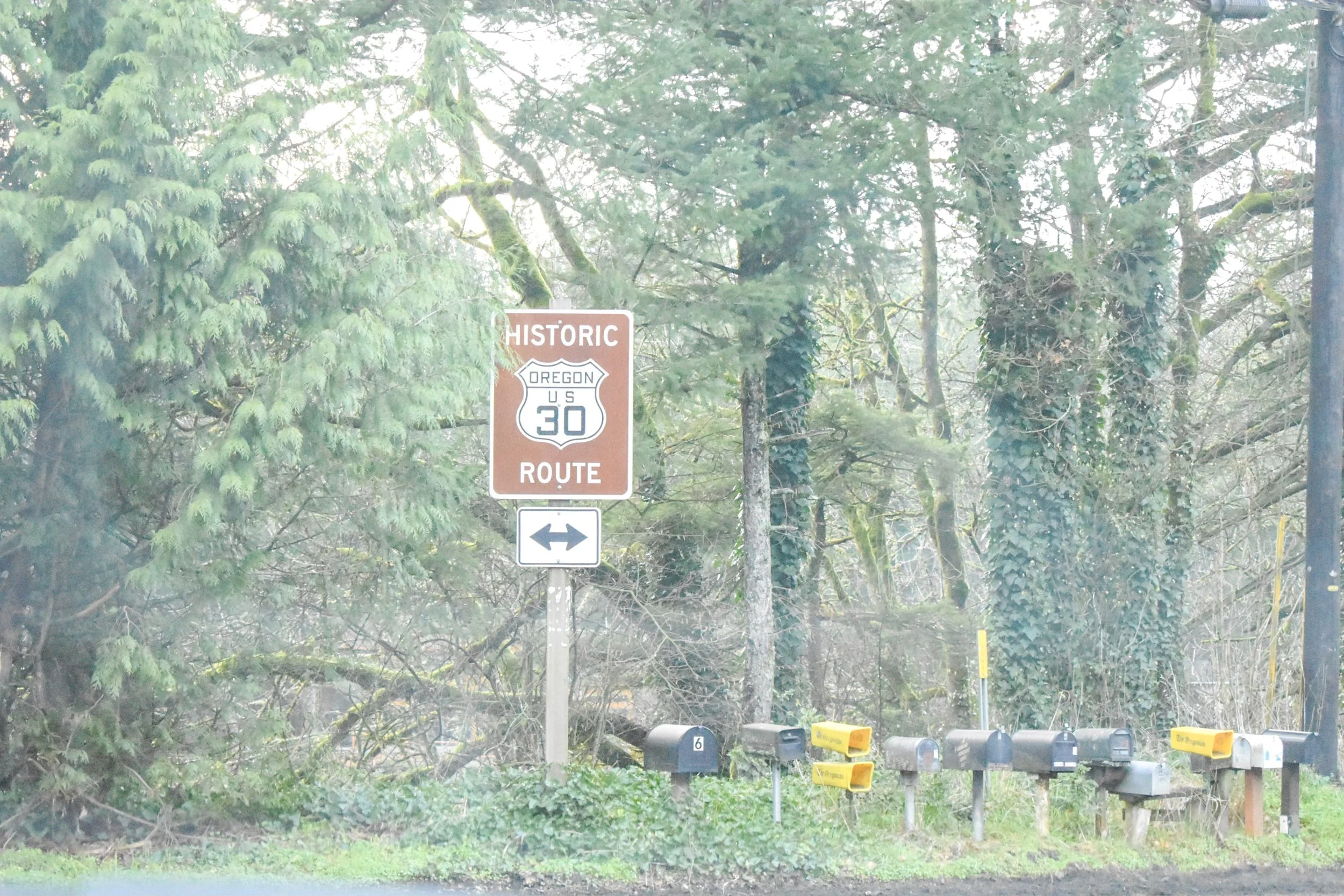 Tiny House, Warm Hearts: Glamping in Oregon