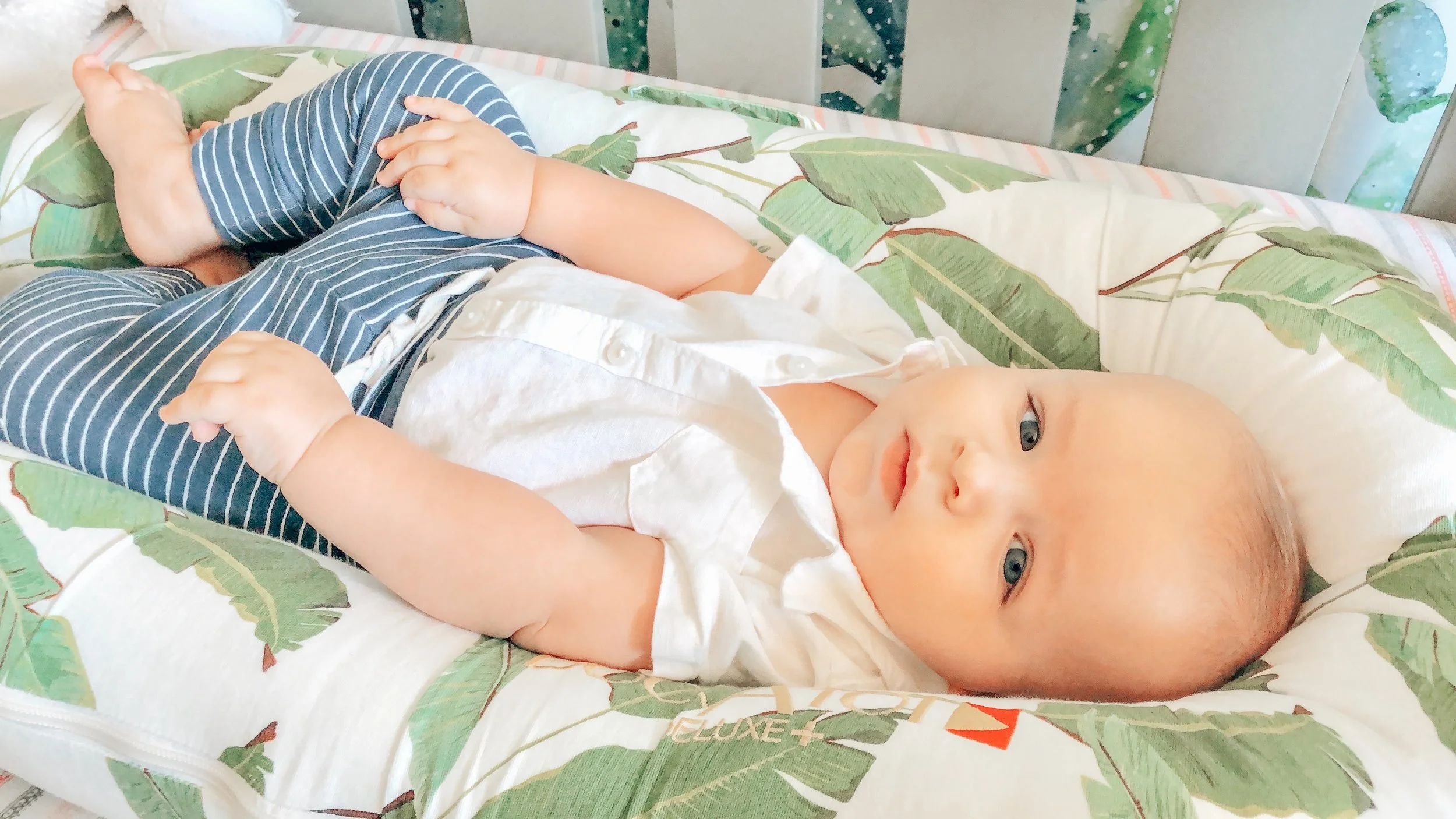 minimalist exersaucer