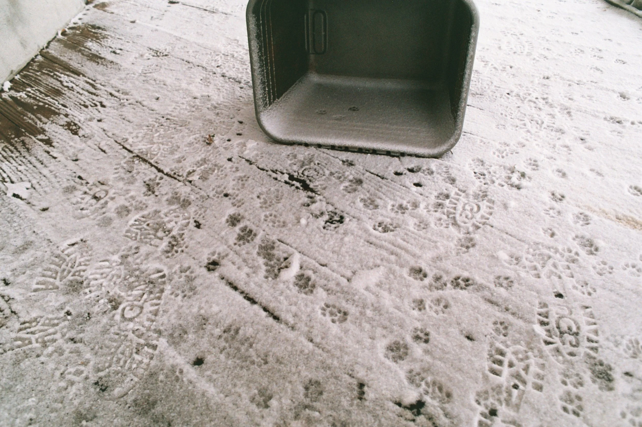 AB009A.jpg