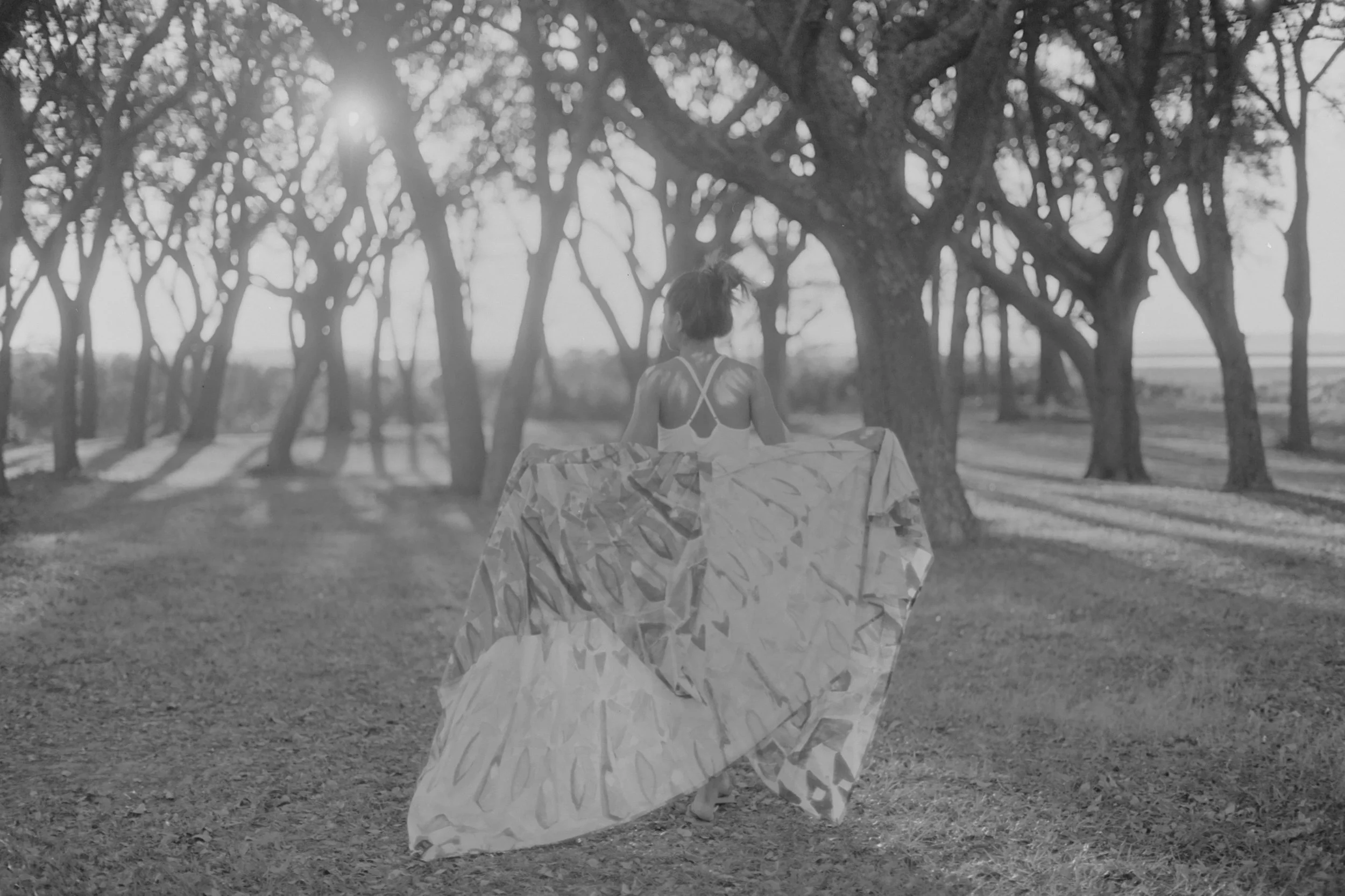 Daydreams in Black and White