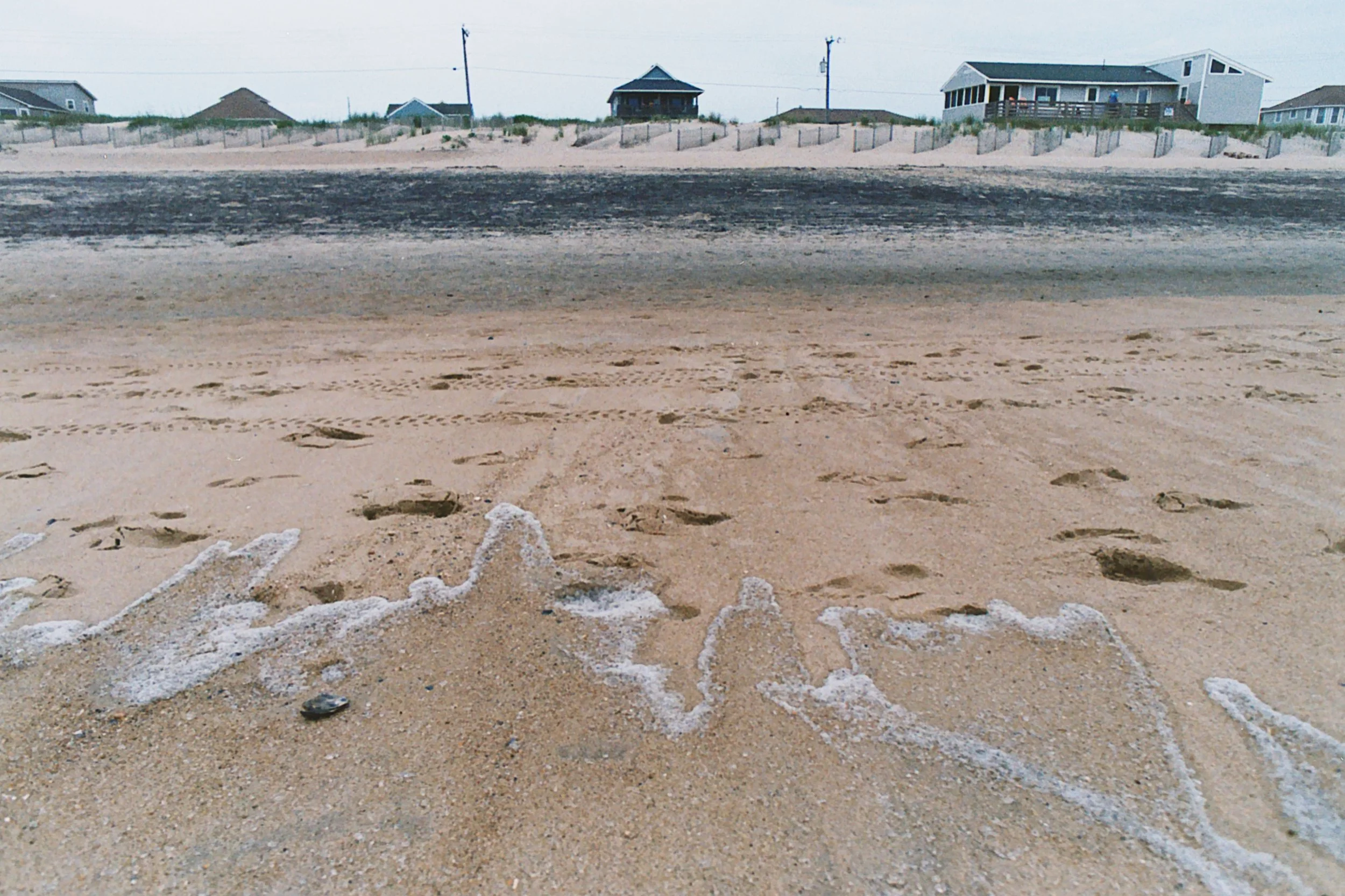 Foamy
