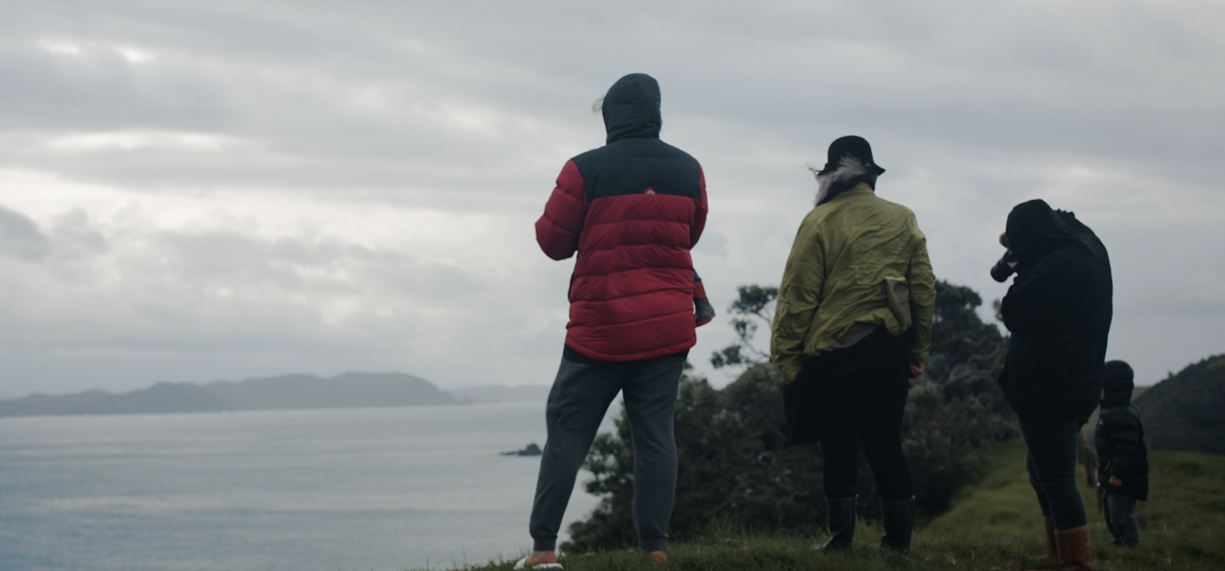 Screen Shot 2018-09-14 at 3.45.50 PM.png