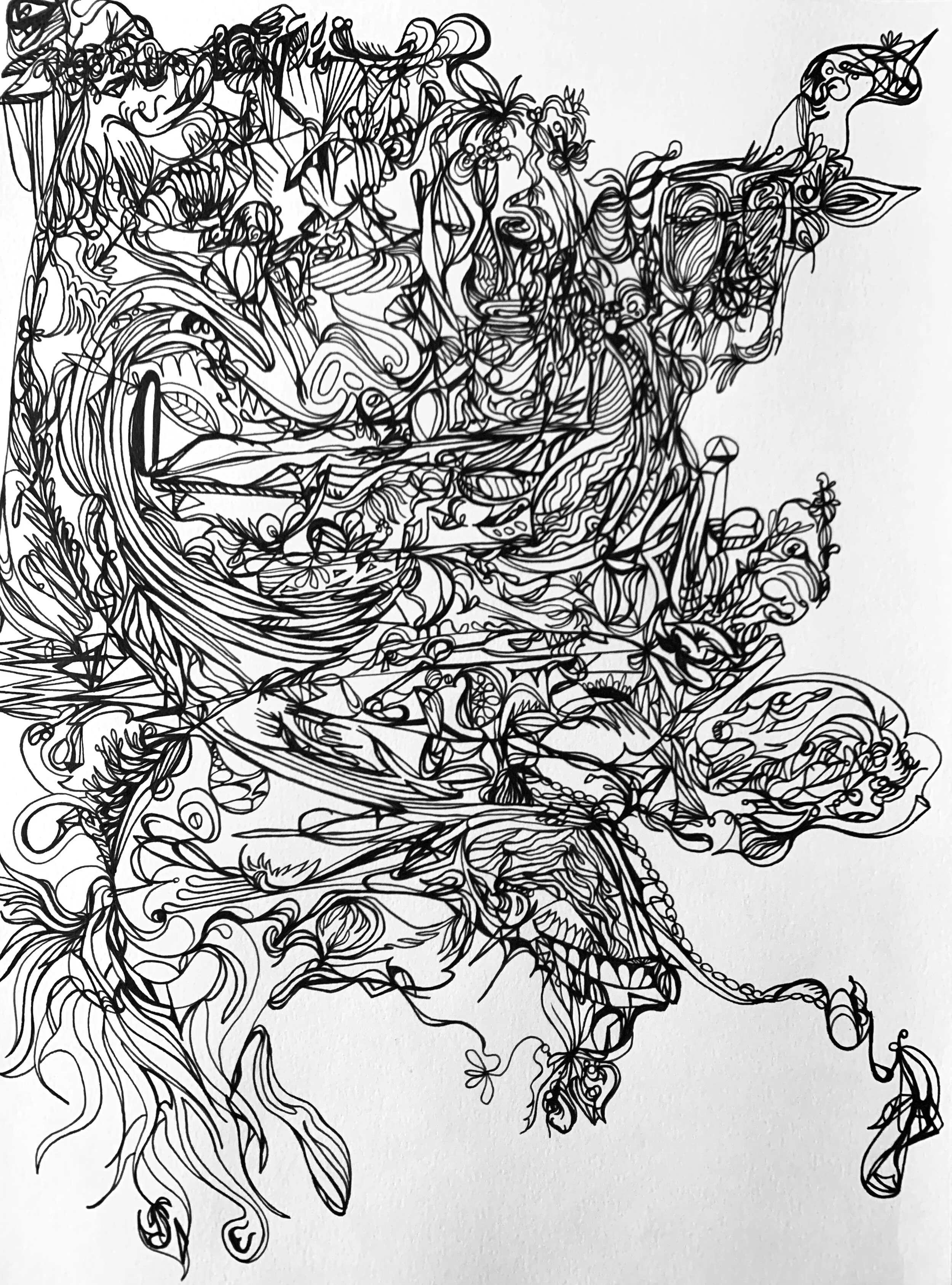 Ink Drawings — Nick Maltagliati