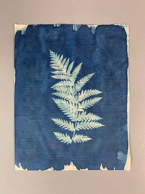 Lizzy Brooks, "Pandemic Chronicle 10"