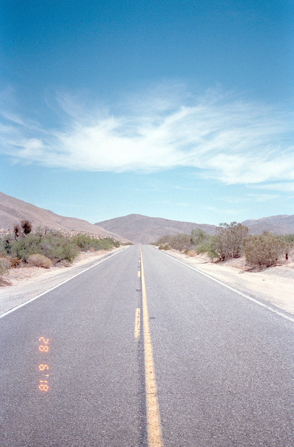 BORREGO-1_resized.png