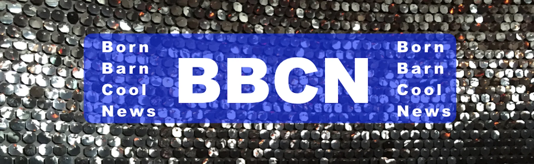 BBCNews Banner 2.jpeg