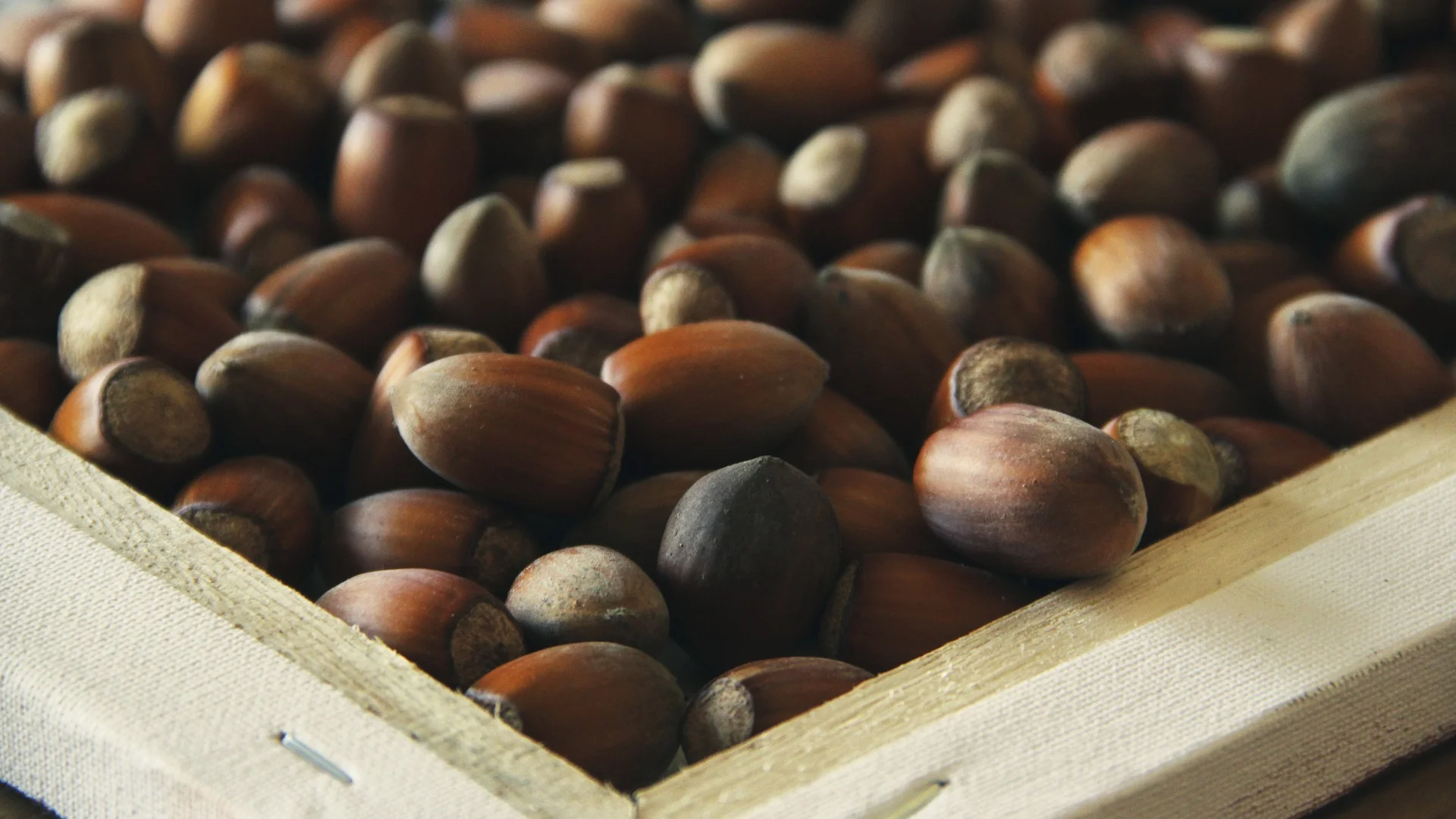 SOUSCRIRE UN CONTRAT MADELIN