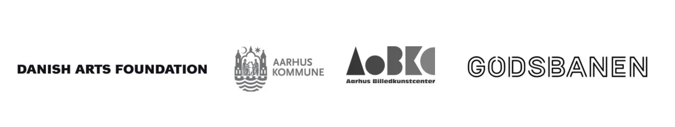 funders' logos.jpg