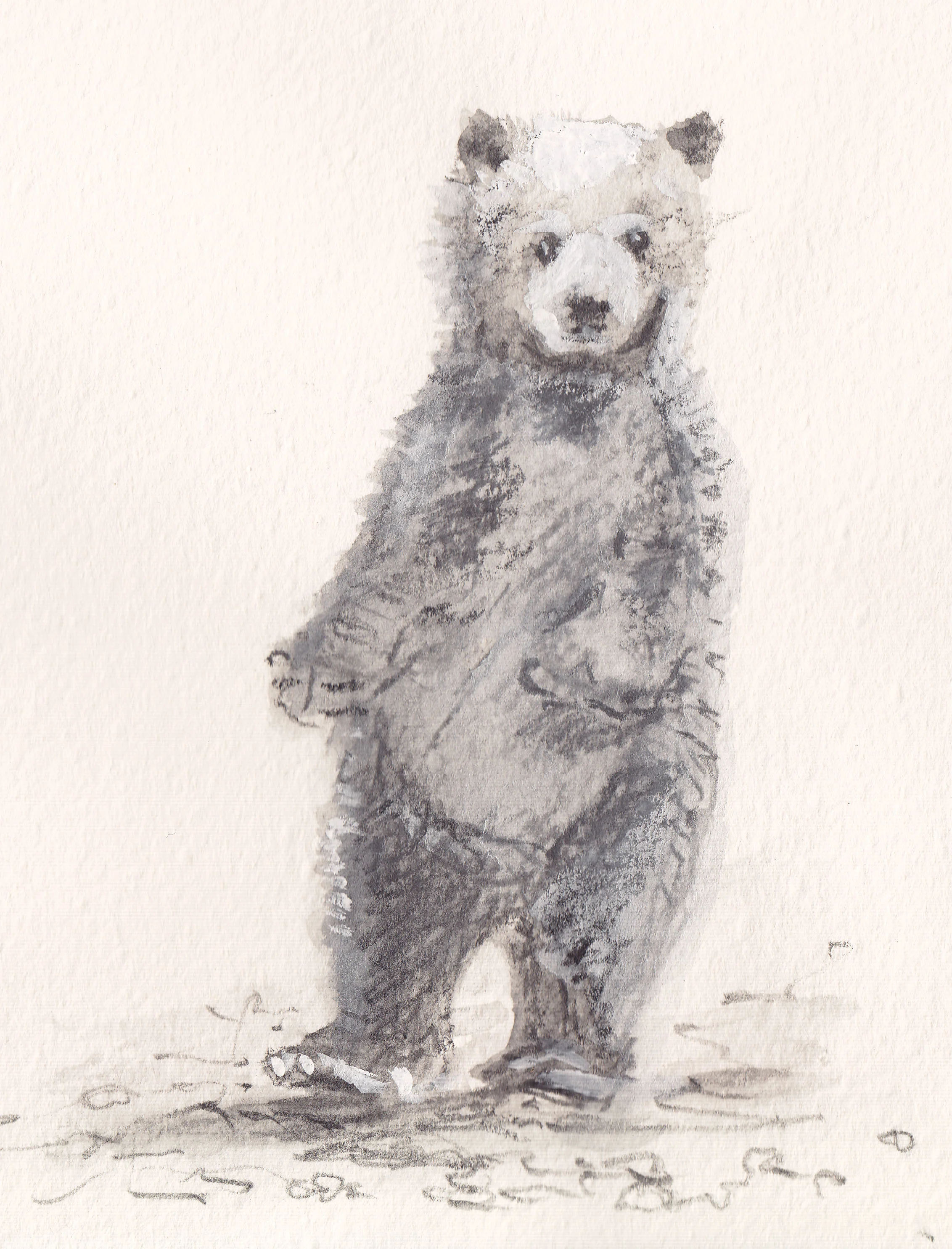 Bear copy.jpg