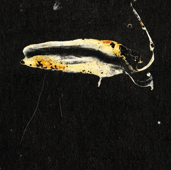 Cover1.jpg