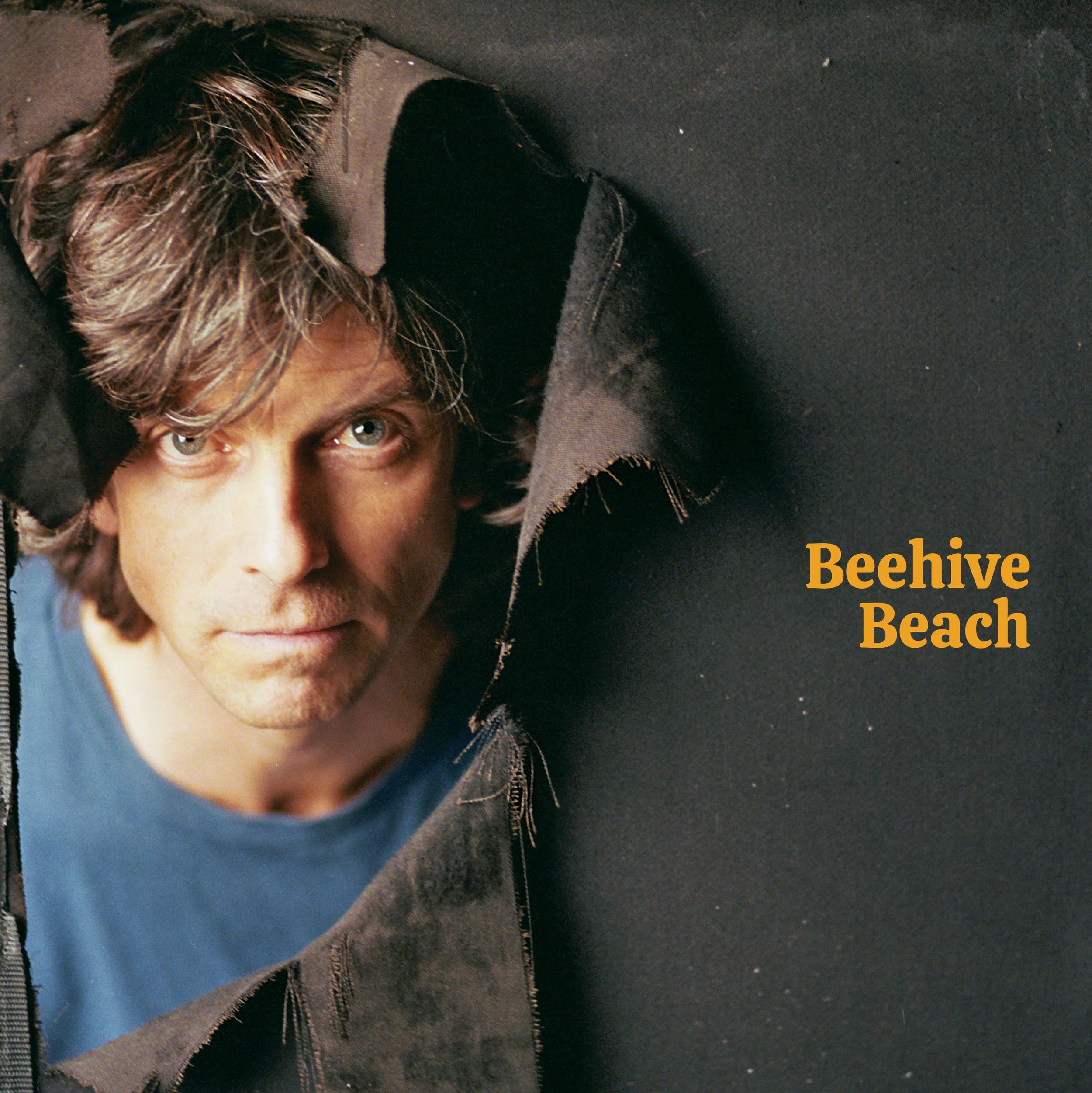 beehivebeachcoverRGB.jpg