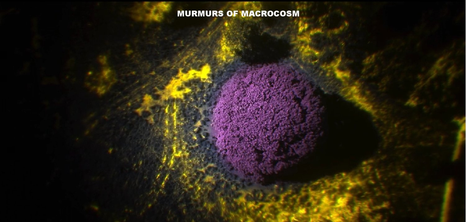 macrocosm.jpg