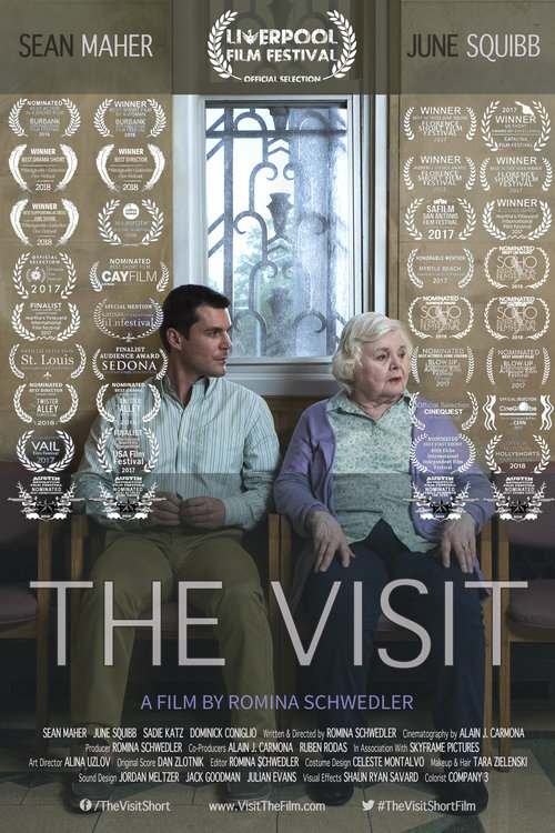 TheVisit_Poster_LIVIFF[2707].jpg