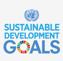 269px-UN_SDG_Logo.png
