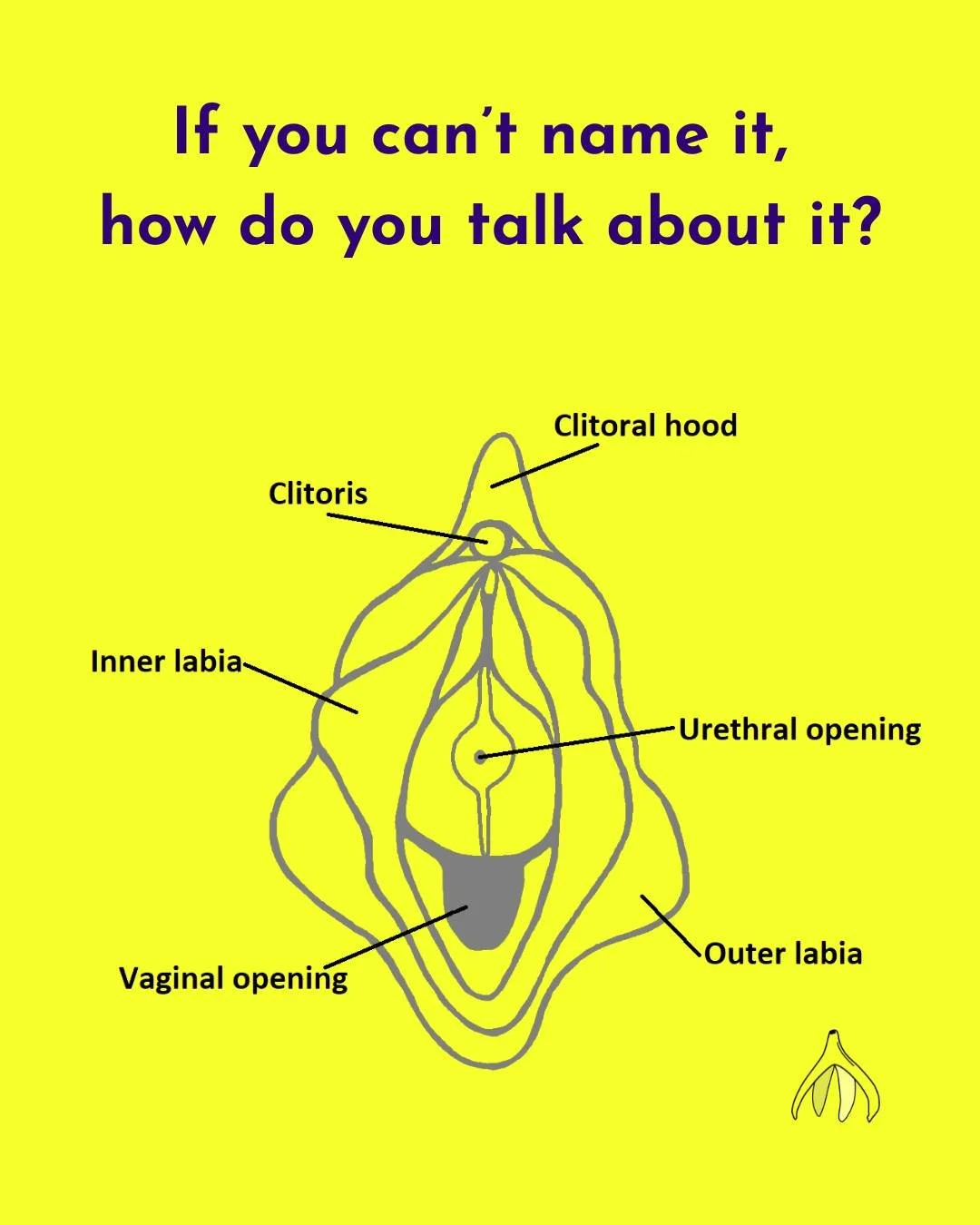 📚If we want young people to talk about their bodies confidently and clearly, they need to have the vocabulary first.

✅Language = confidence = safeguarding.

#RSE #BodyLiteracy #InclusiveEducation #PSHE