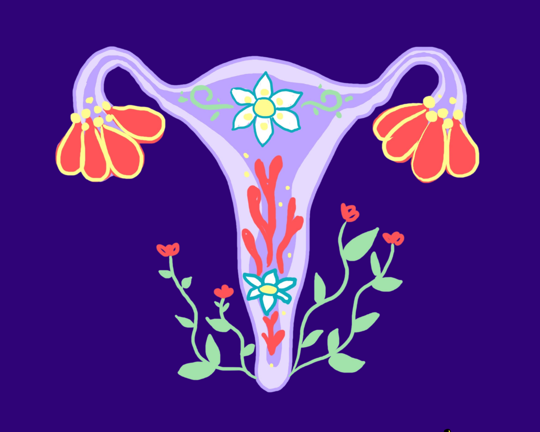 Uterus.png