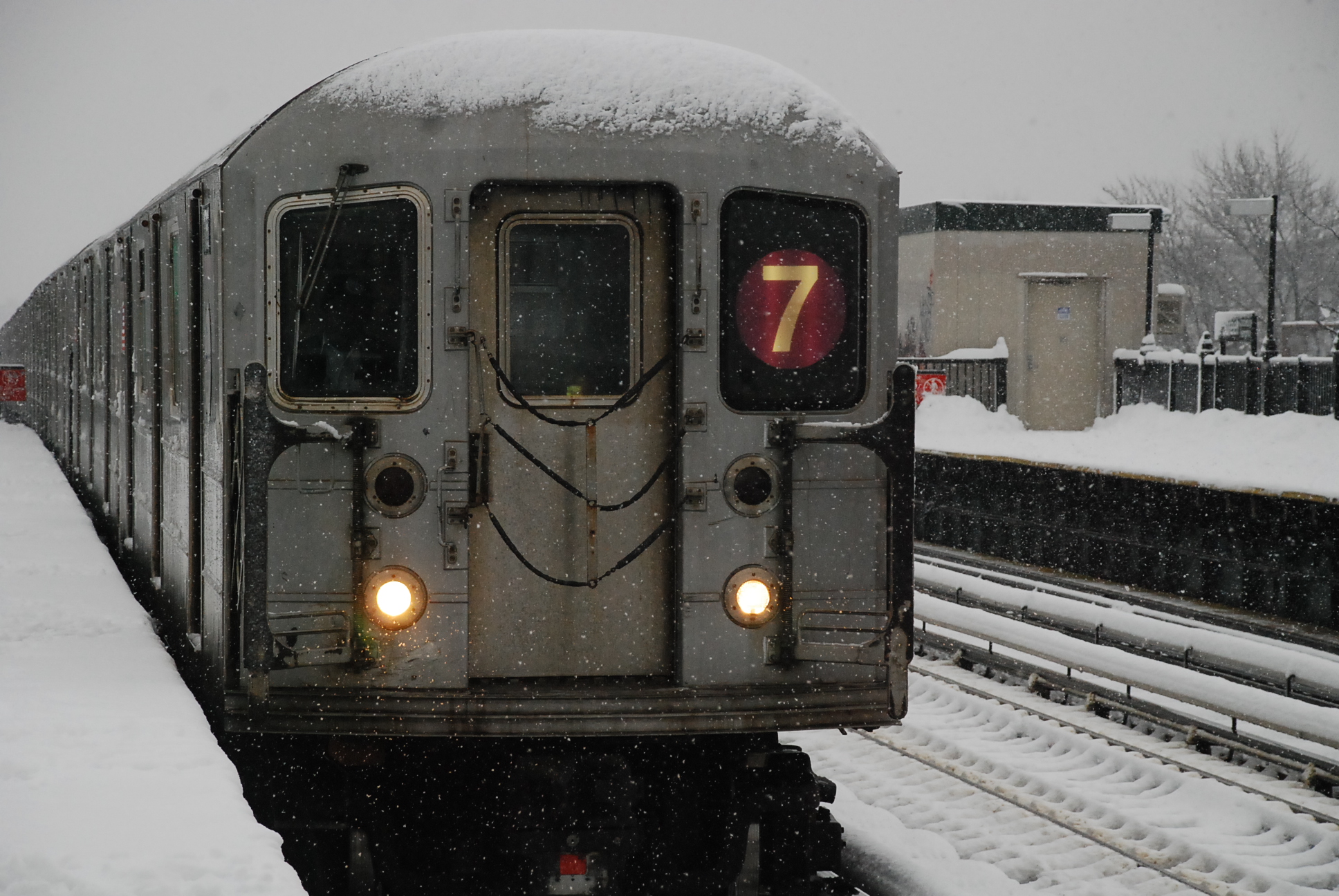 DSC_1585.JPG