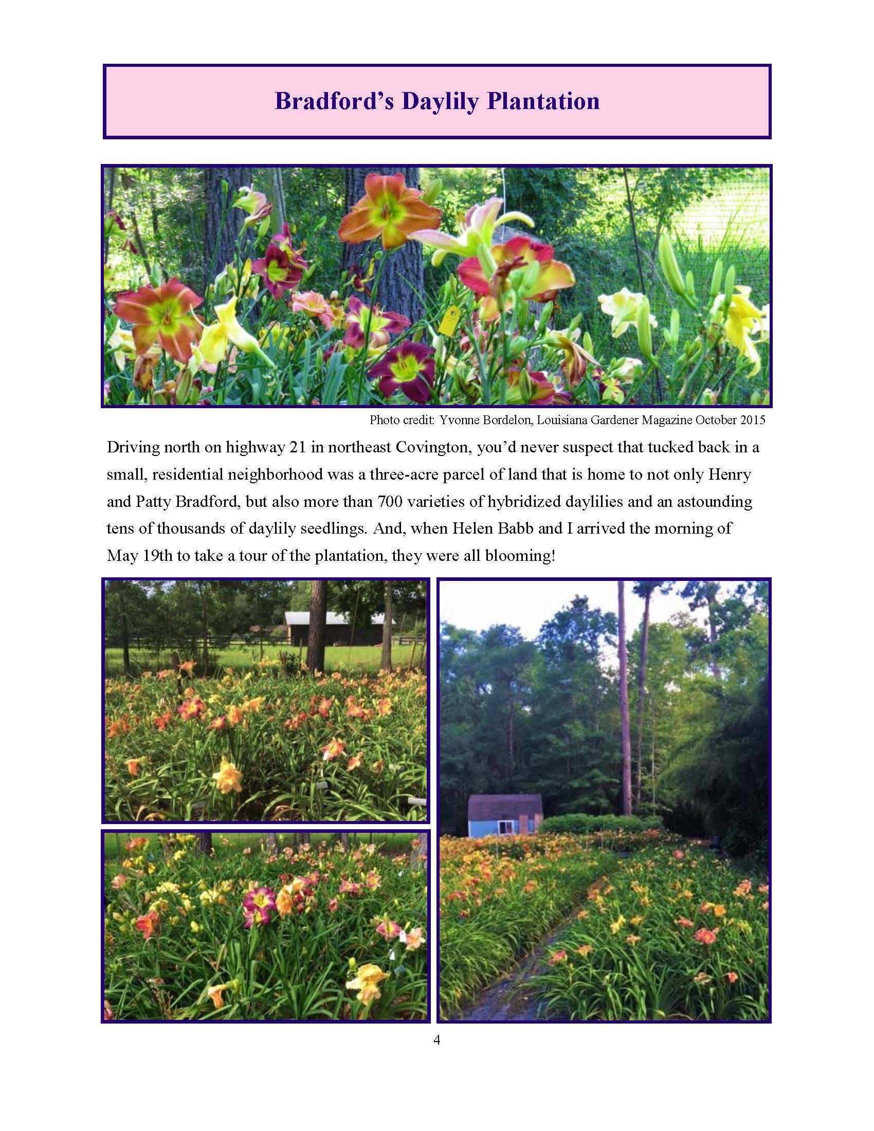 June 2017 Gardengoer_Page_04.jpg