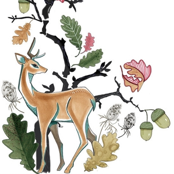 Illustration, © Anna Handell