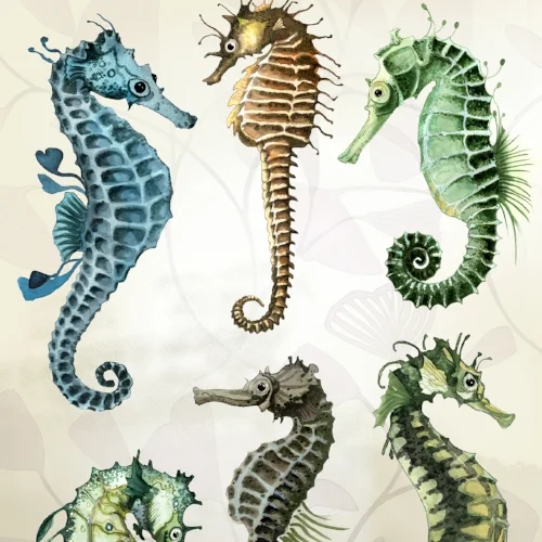 deco-seahorses-ahsign.jpg