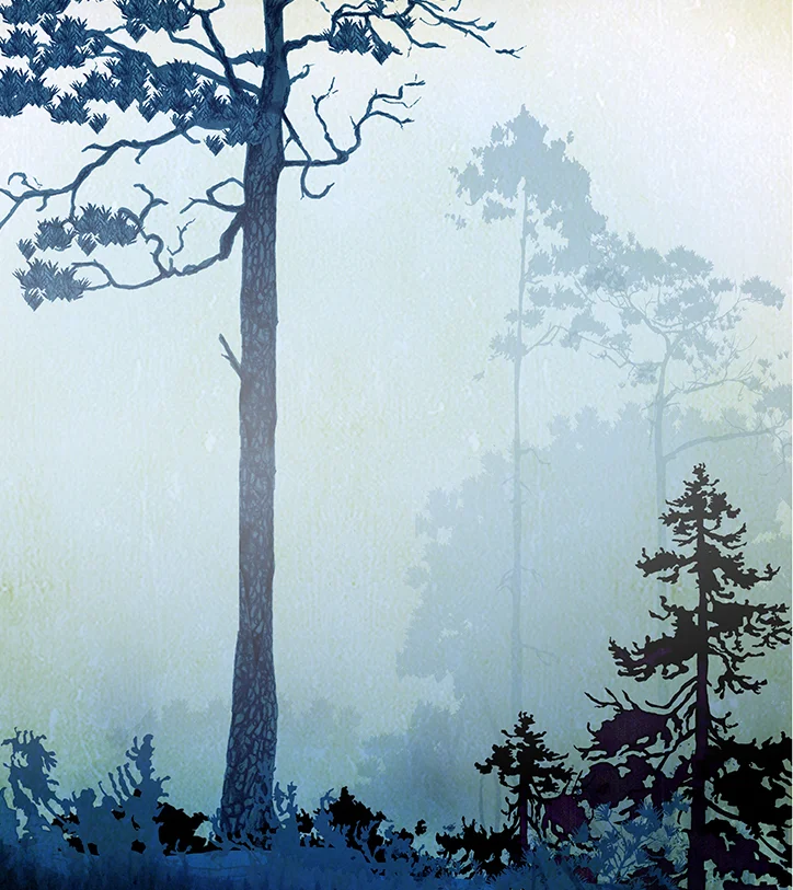 tiveden-tall2.jpg