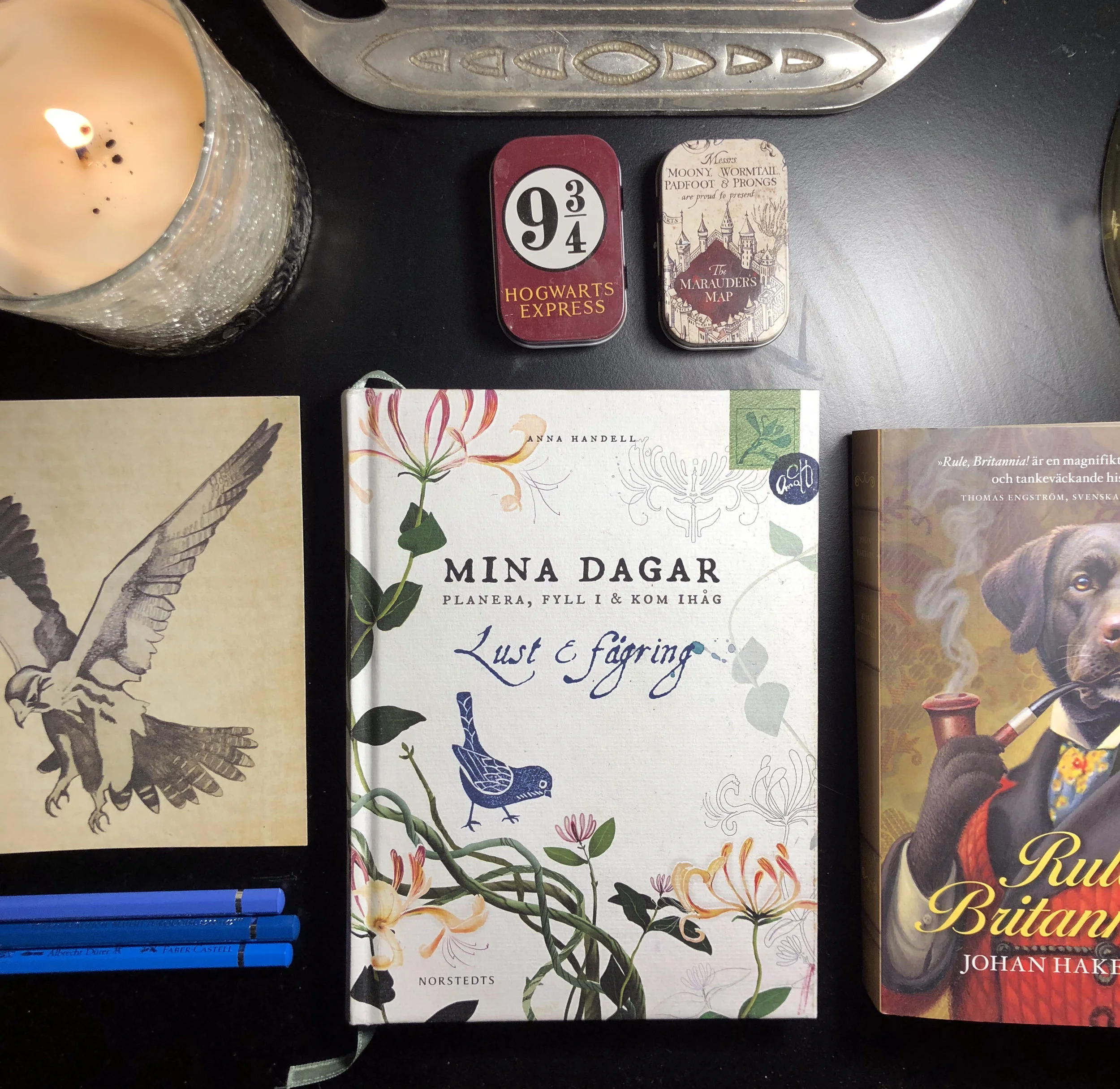Mina dagar är en personlig kalender, anteckningsbok och skissbok utan förtryckta datum.