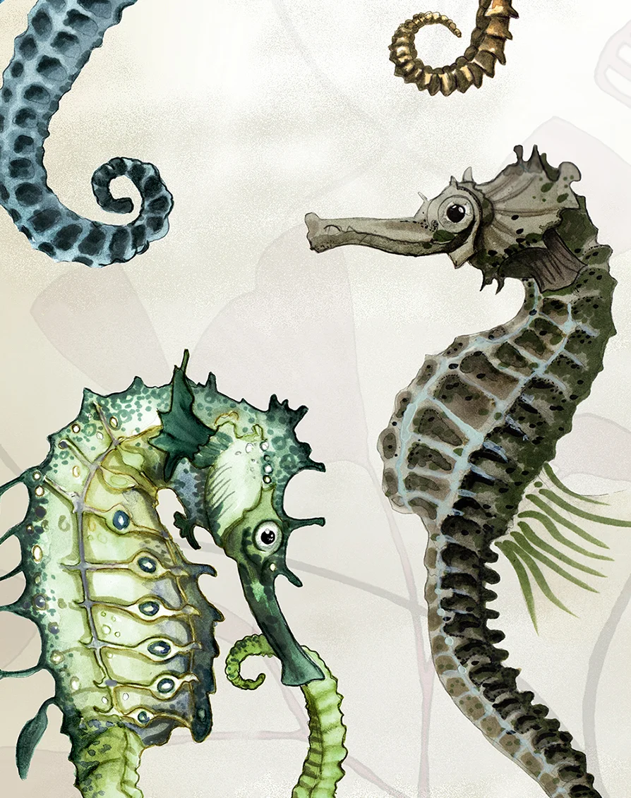 deco-seahorses2.jpg