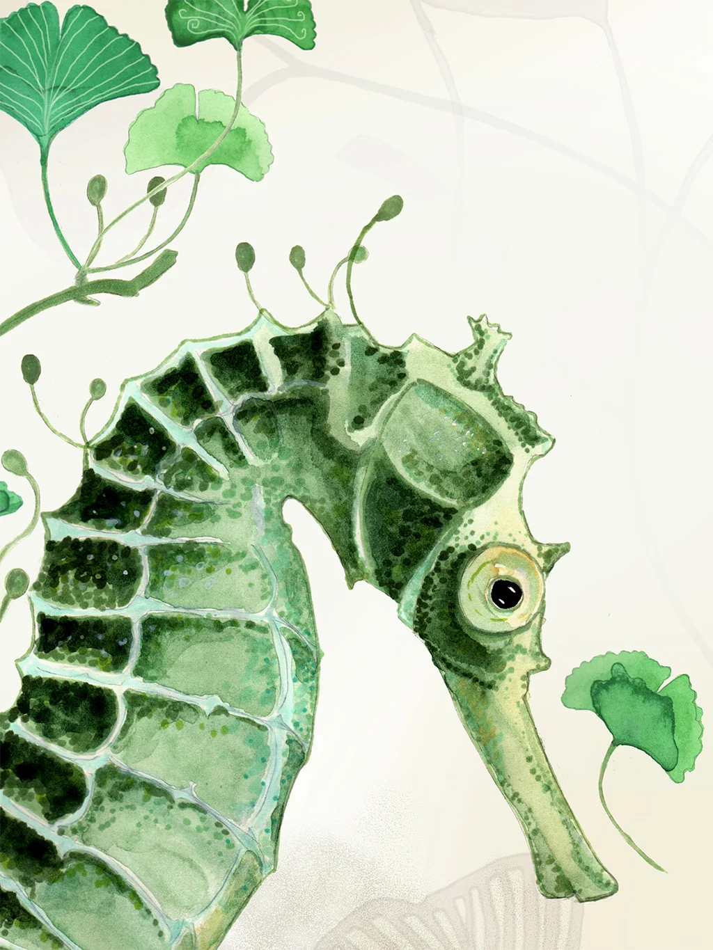 seahorse2-annahandell.jpg