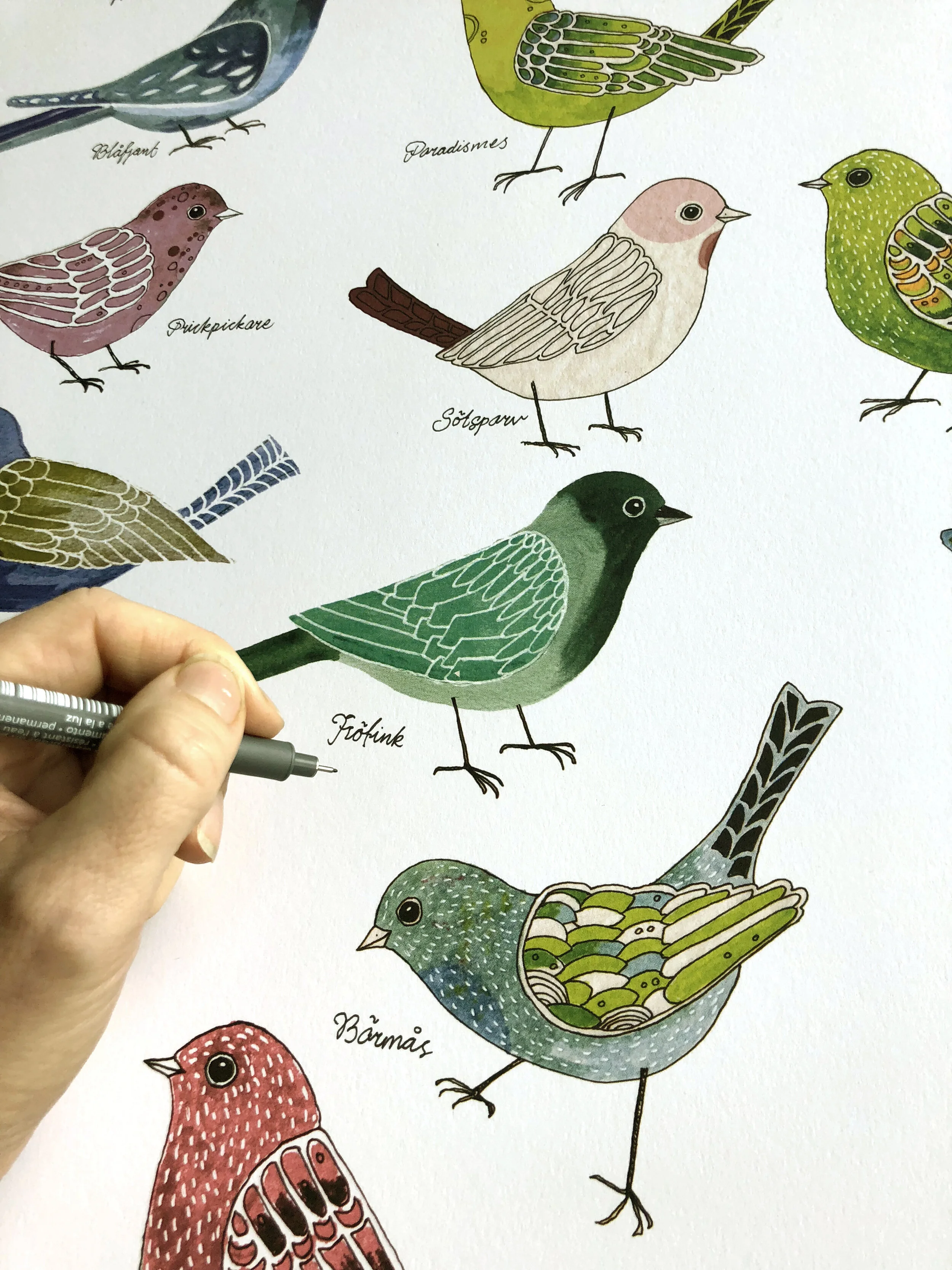 kvitterfåglar5.jpg